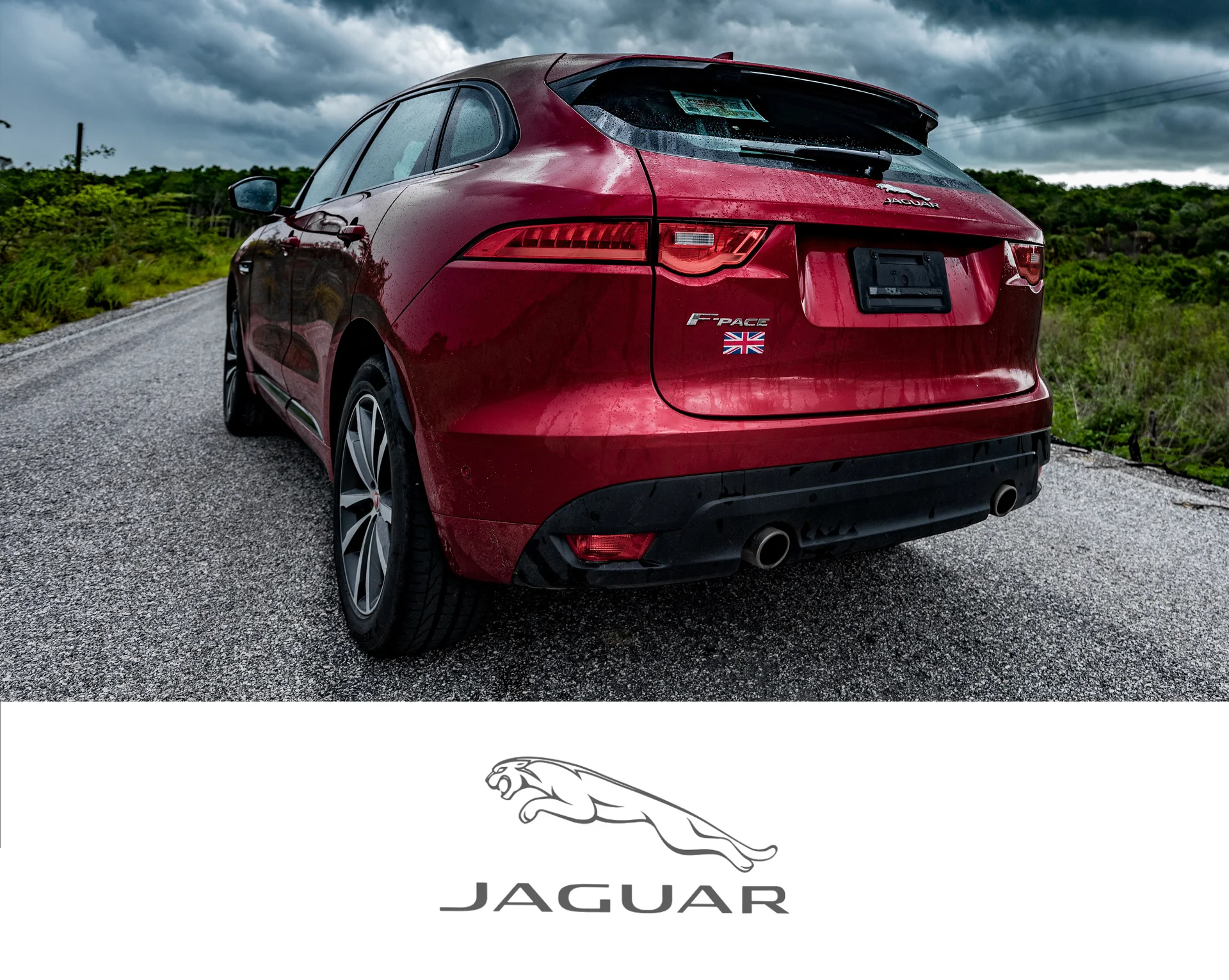 Jaguar.jpg