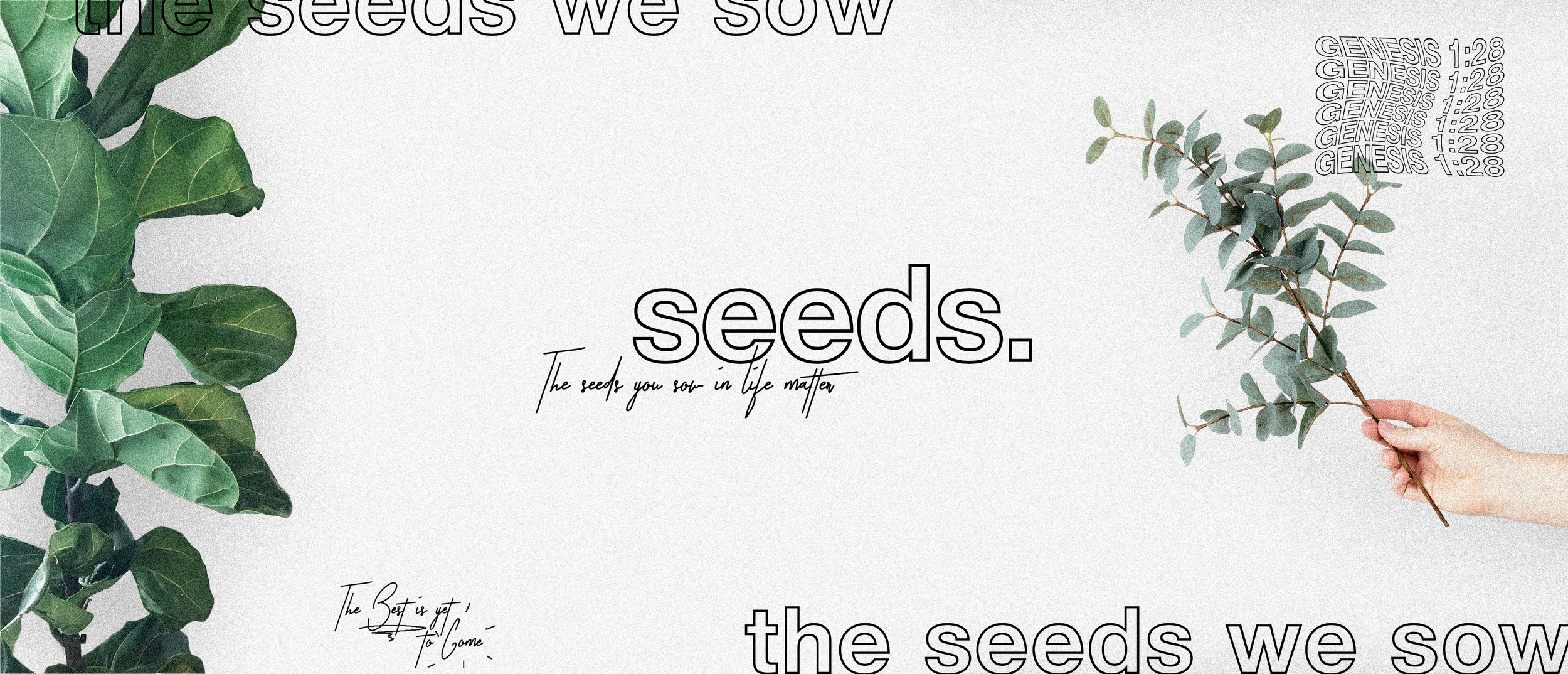 Seeds.jpg