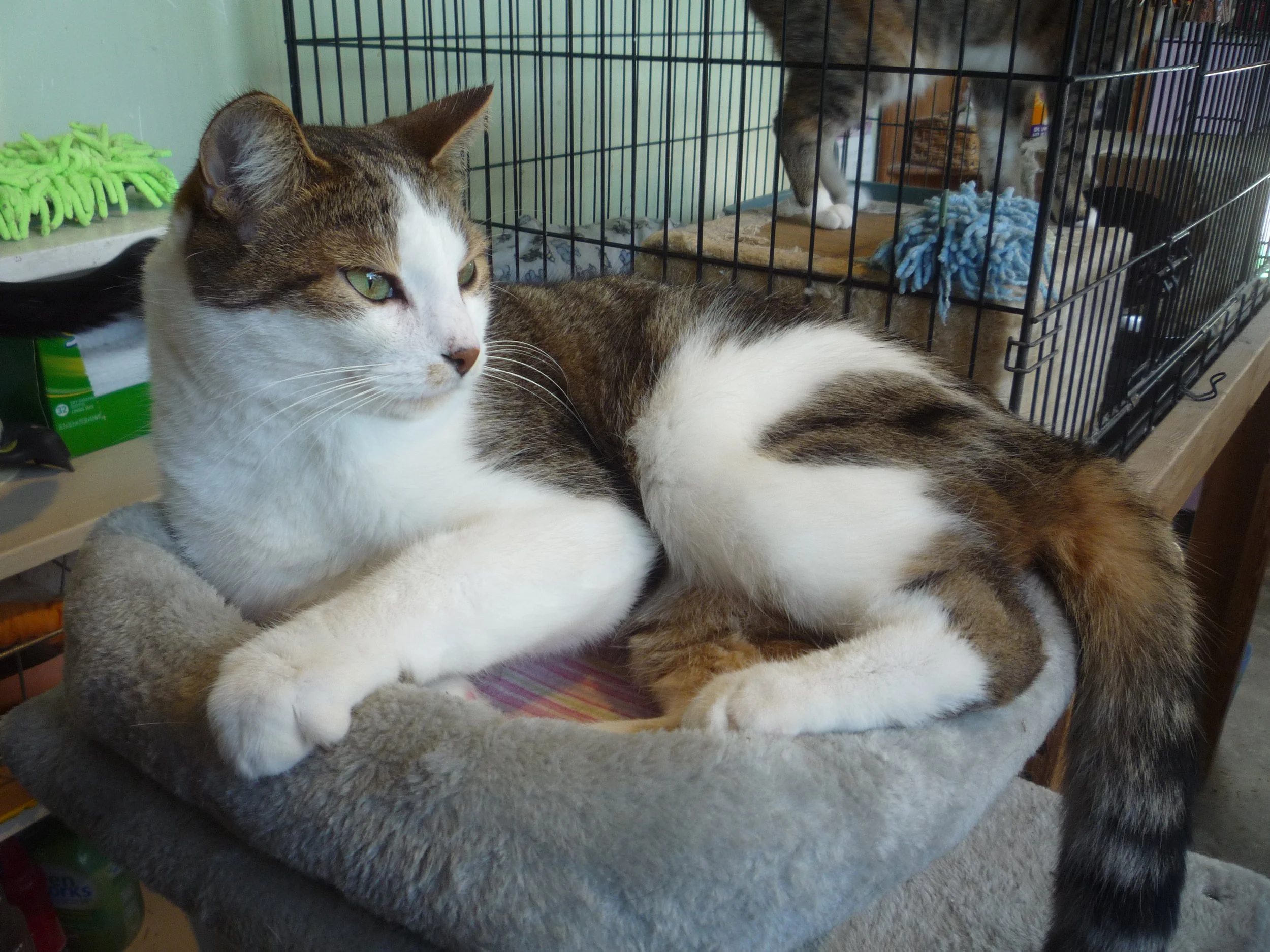 flannery oct 24 1.JPG