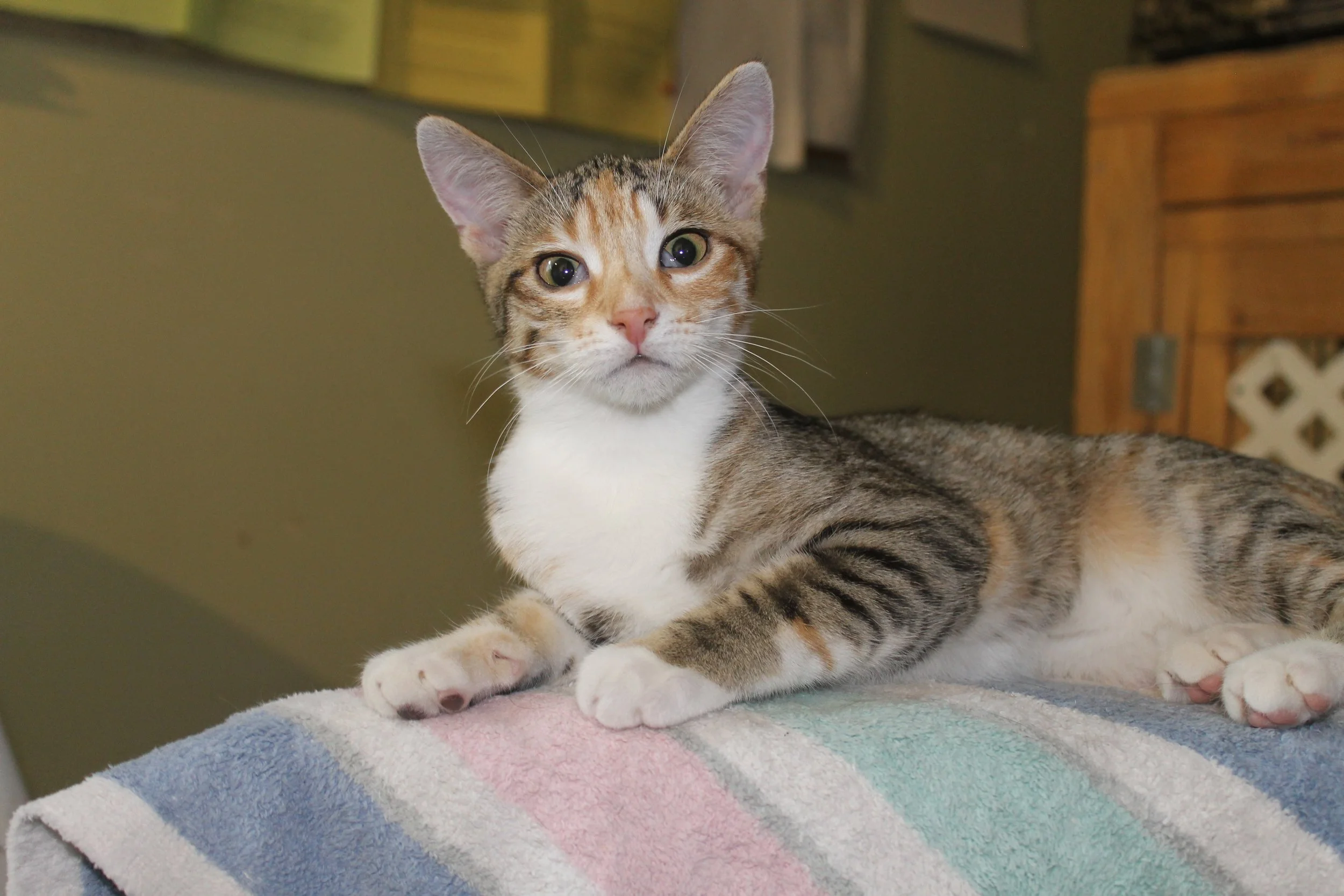 mina new camera 23.JPG