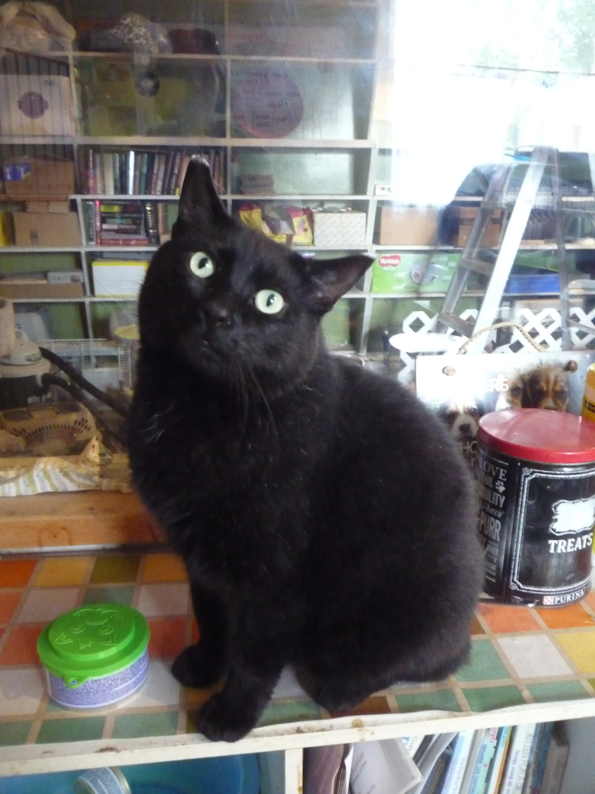 mitchell handsome jul 23.JPG