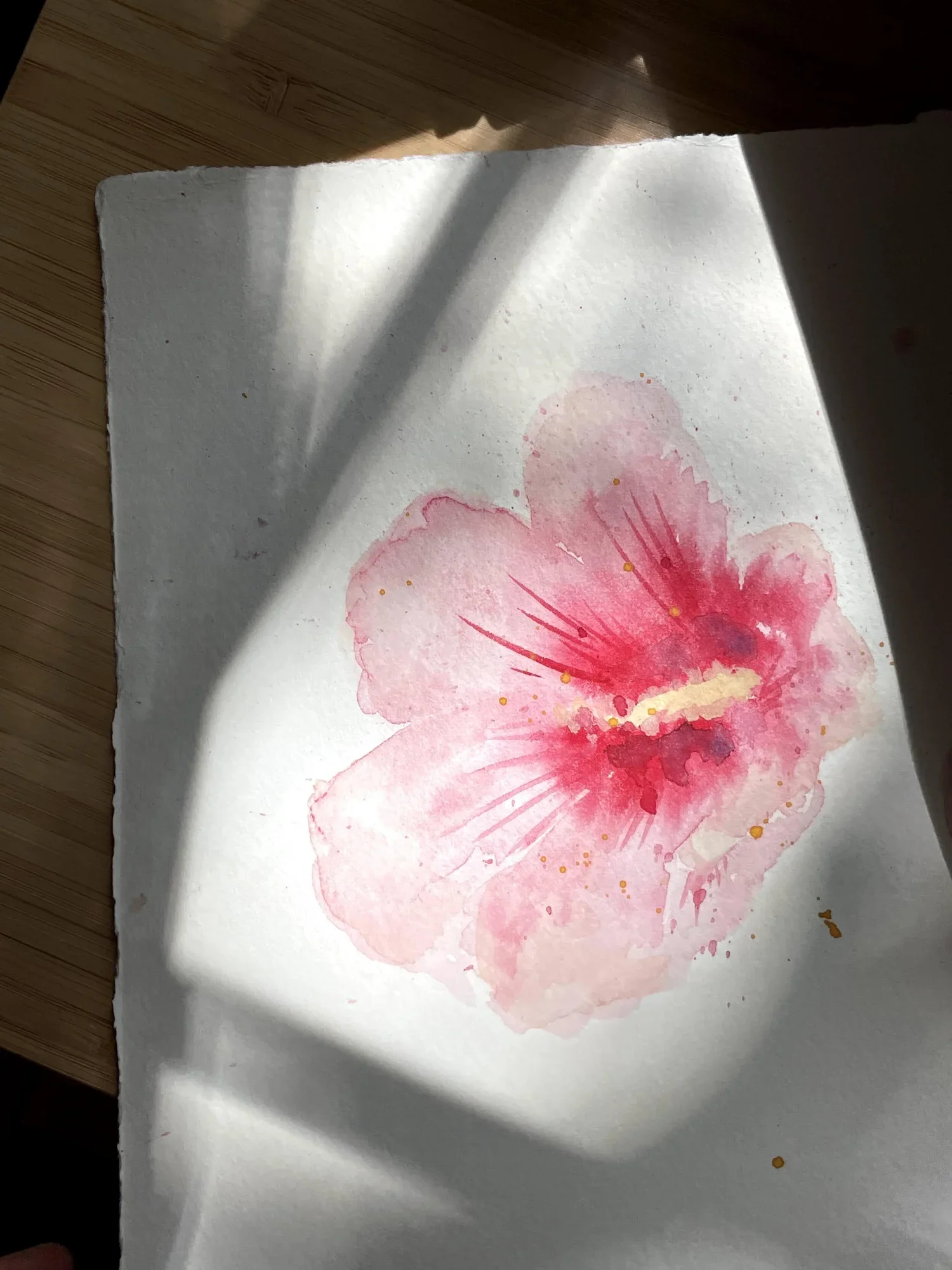 watercolor drawing of pink hibiscus flower with sharp accents on canvas paper with ripped edges