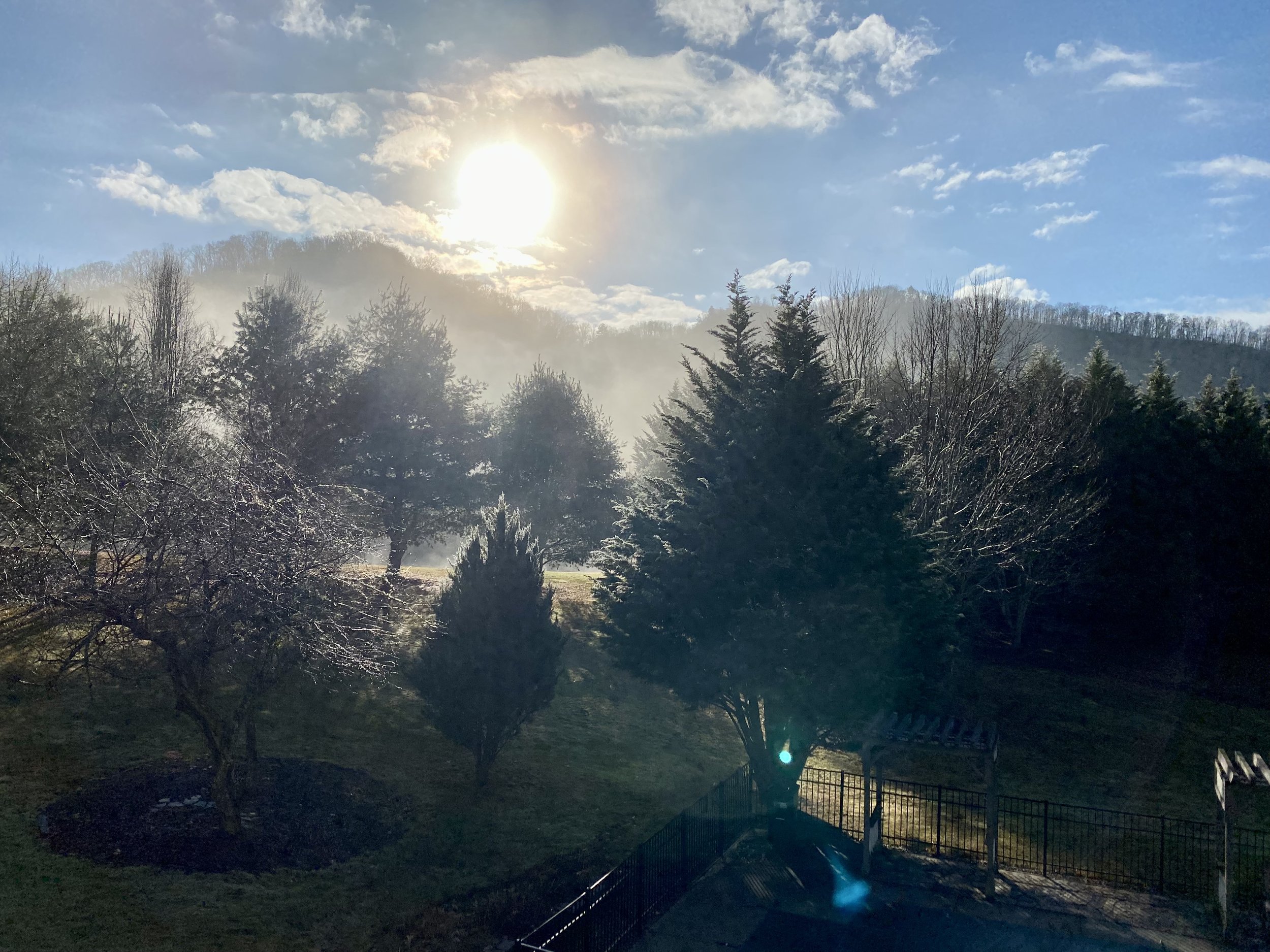 The Year of Your Heart