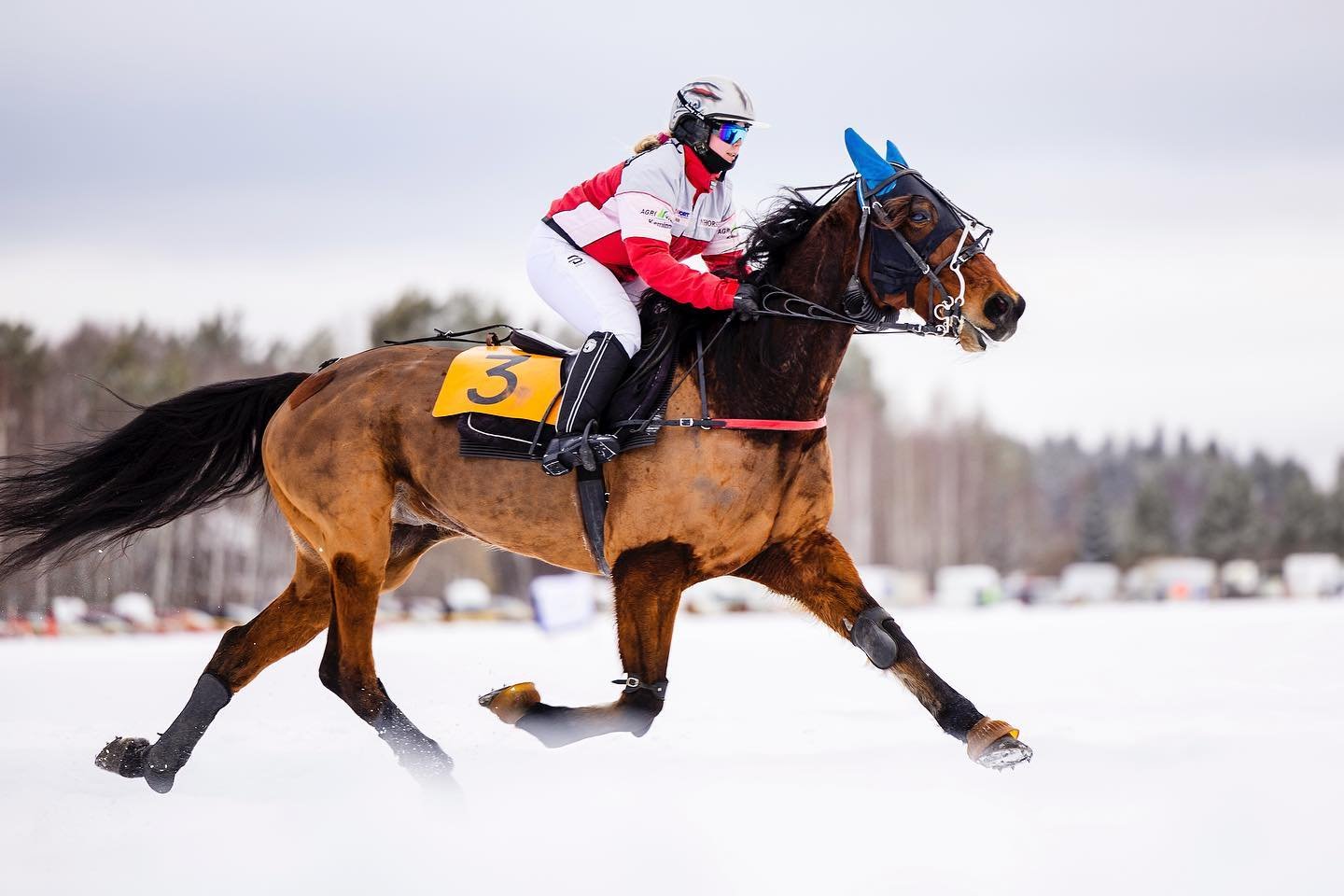 Kortesj&auml;rven j&auml;&auml;ll&auml; ajettiin 4. maaliskuuta tiett&auml;v&auml;sti Suomen ainoat t&auml;m&auml;n talven j&auml;&auml;ravit. 

#lehtikuvaus
@ilkkapohjalainen

#kristaluomaphotography #ilkkapohjalainen #kuvajournalismi #lehtikuva #le