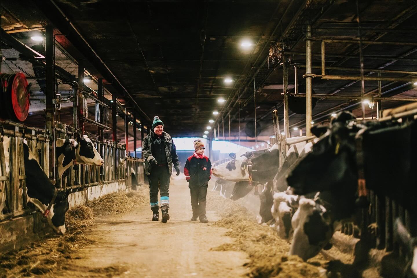 K&auml;vin kuvaamassa Faba-lehteen Kurikassa sijaitsevan Porre Oy:n tilan el&auml;m&auml;&auml;, jossa Vesa Porrella ja Satu Sillanp&auml;&auml; Porrella on noin 200-p&auml;inen holsteinkarja 🐄

#lehtikuvaus
Faba-lehti @faba_osk 1/2024

#kristaluoma