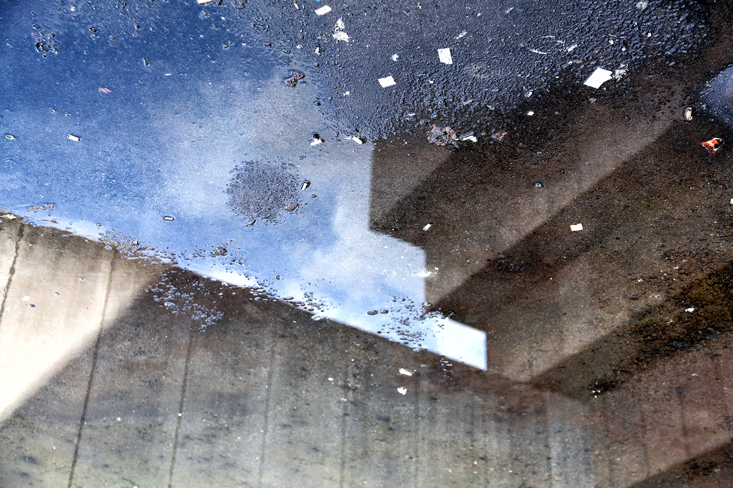 bLibrary puddle1cv1web.jpg