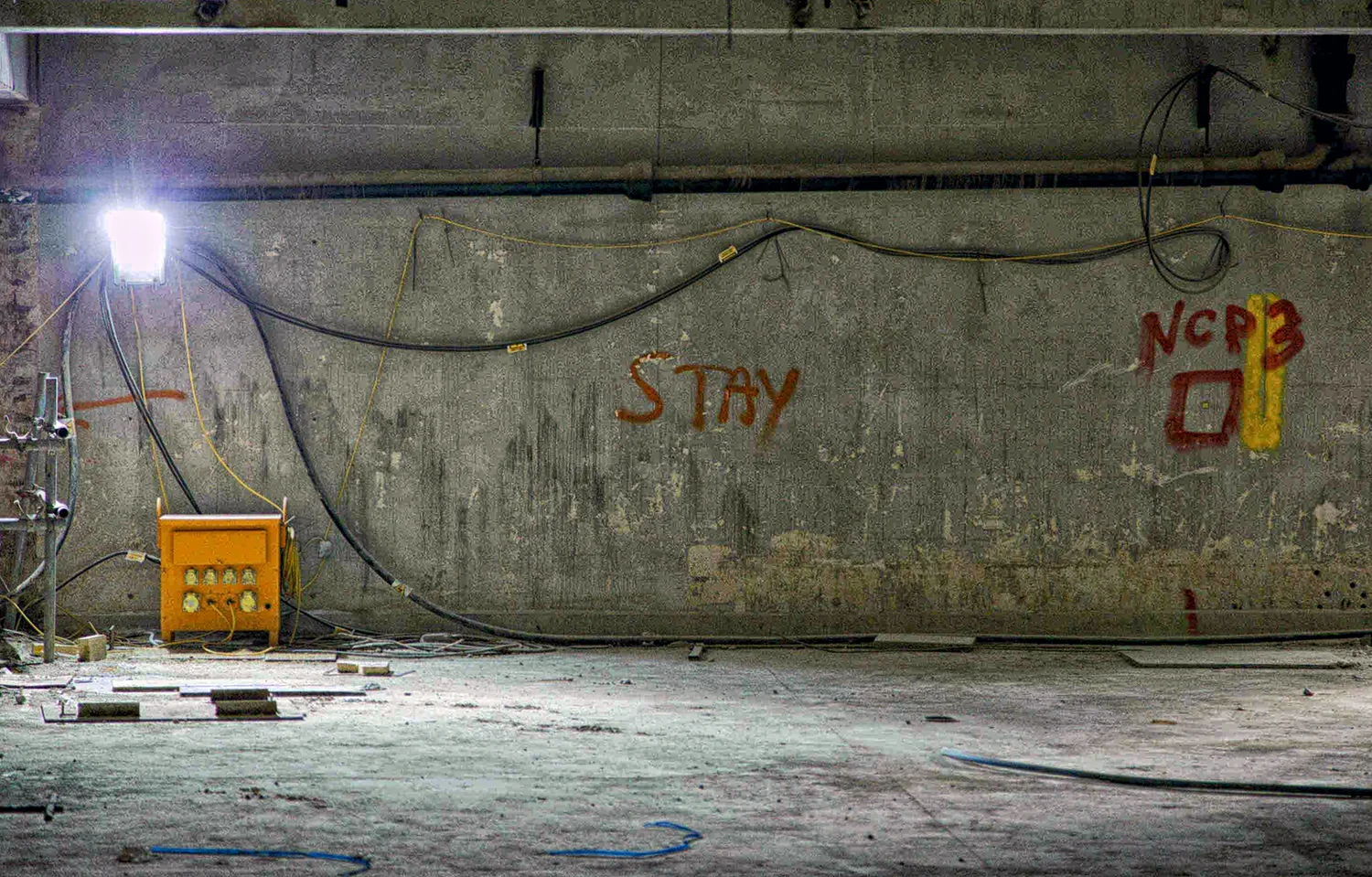 dFinal Amy Lunn - Stayv2web.jpg