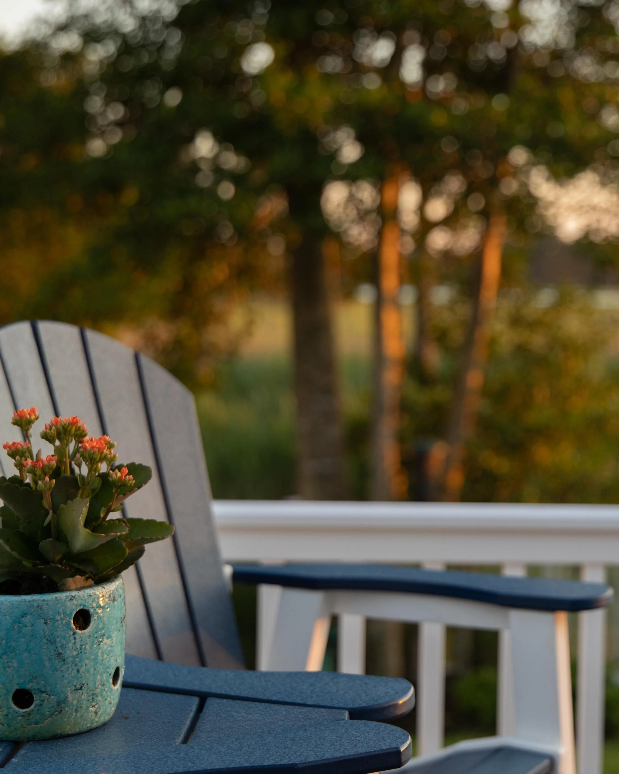 A little coastal magic, a lot of porch time. Welcome to Seagrass. 🌊✨