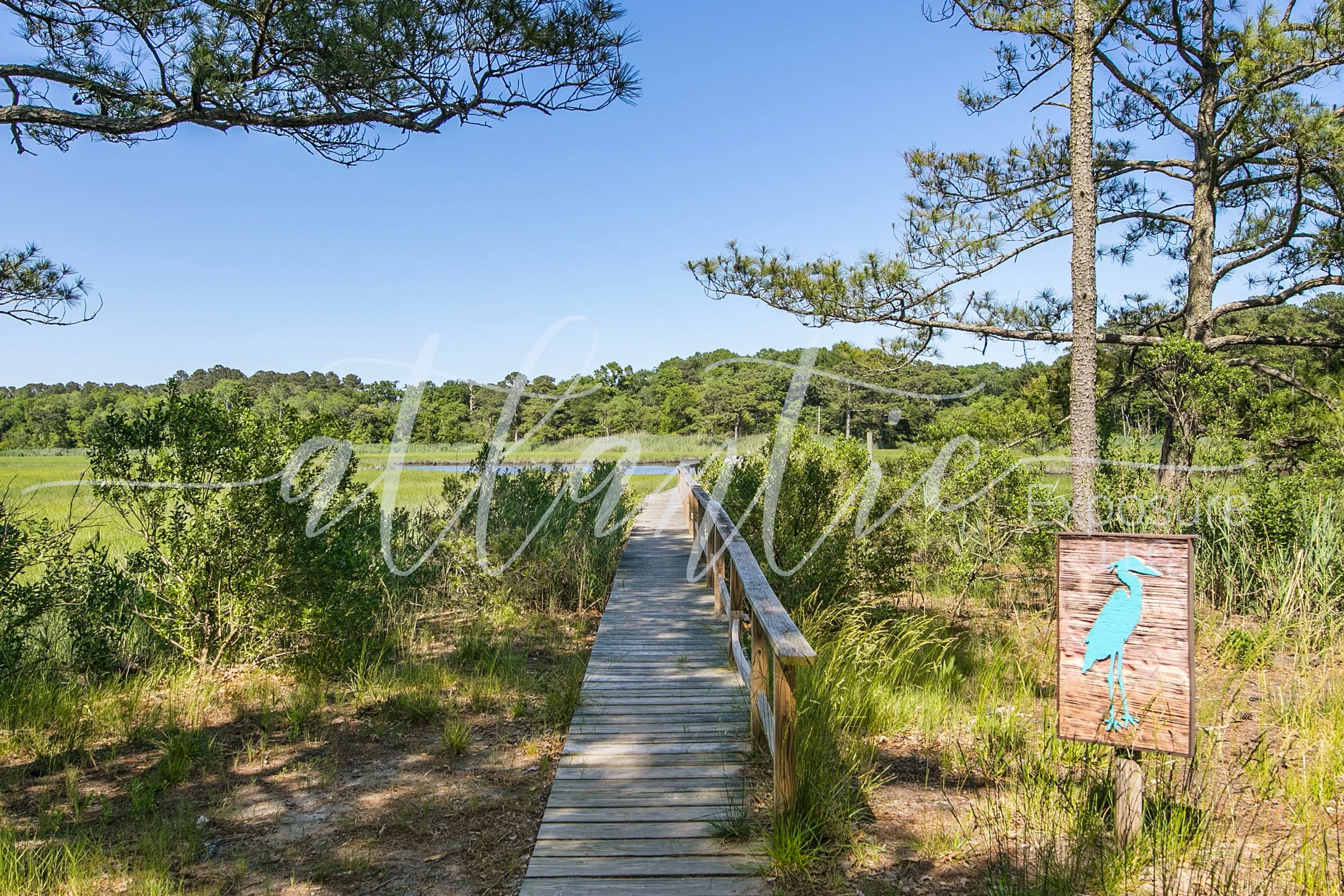 Blackwater Village 13
