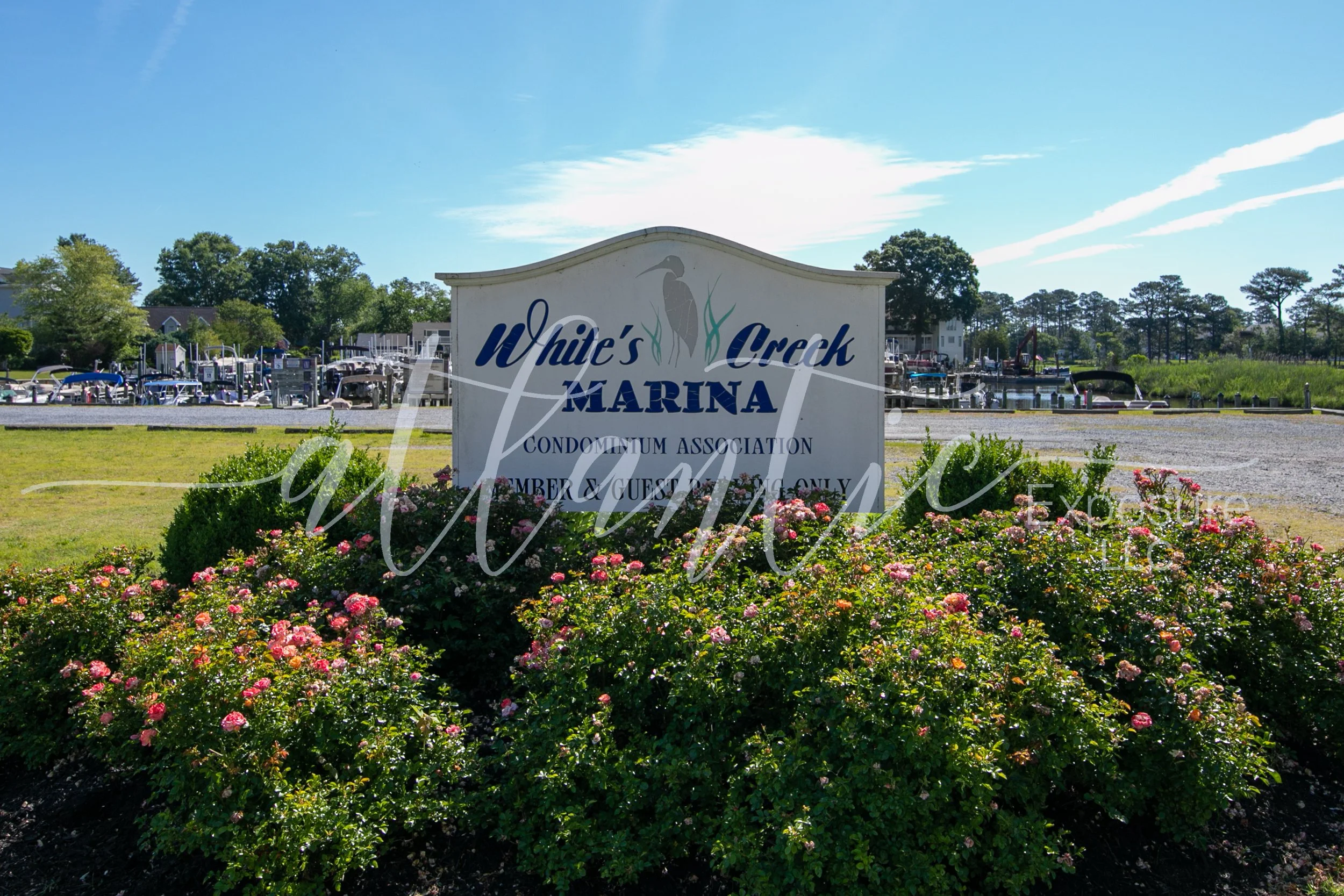 Whites Creek Manor 6