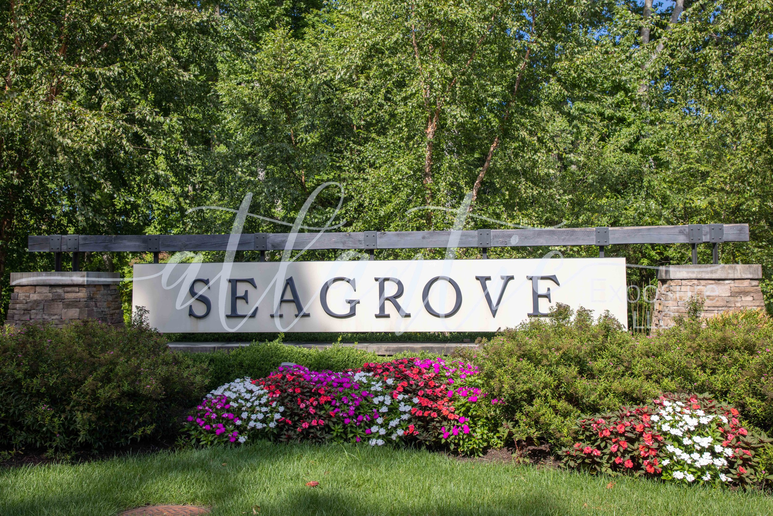 seagrove logo-11.jpg