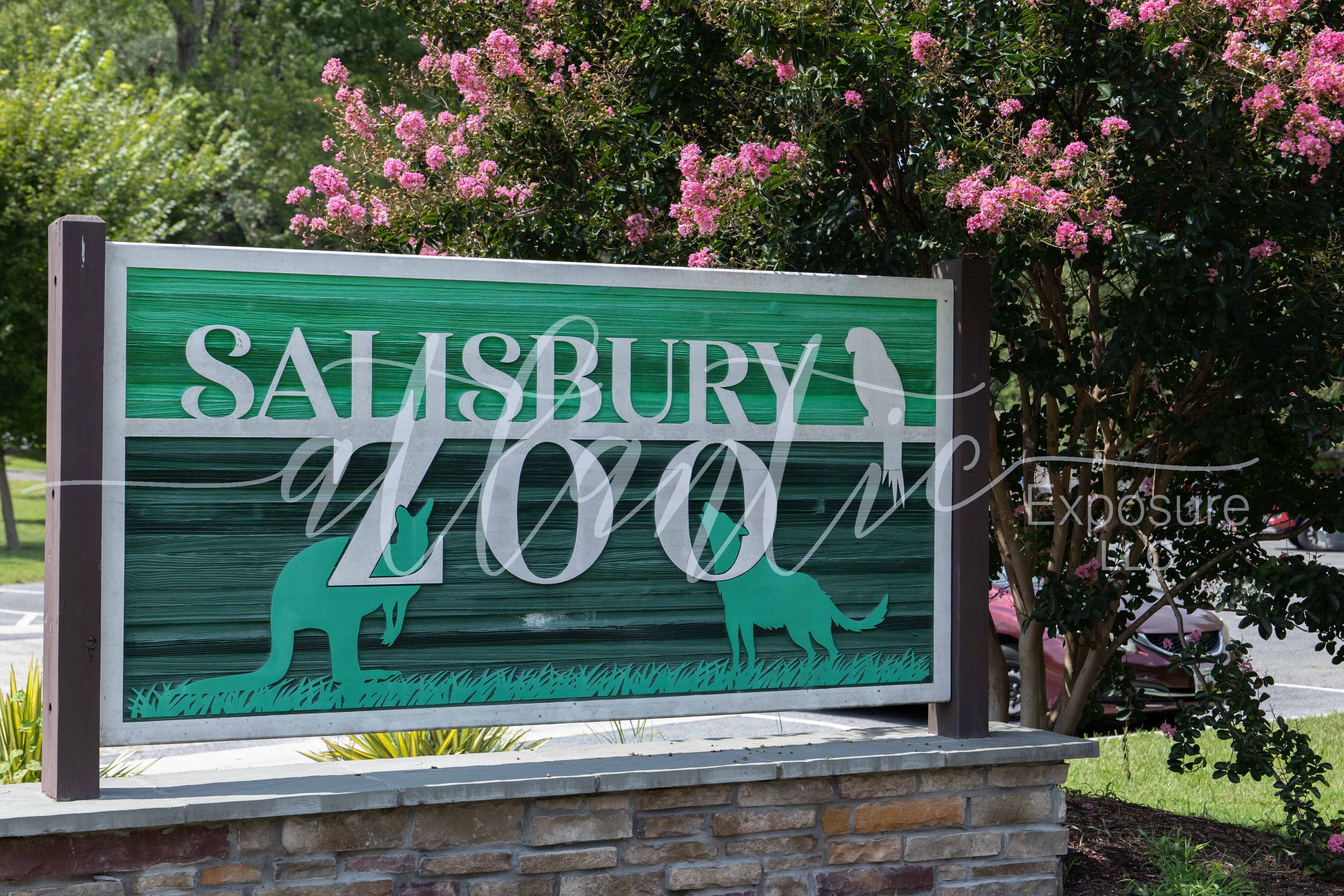 Salisbury Zoo