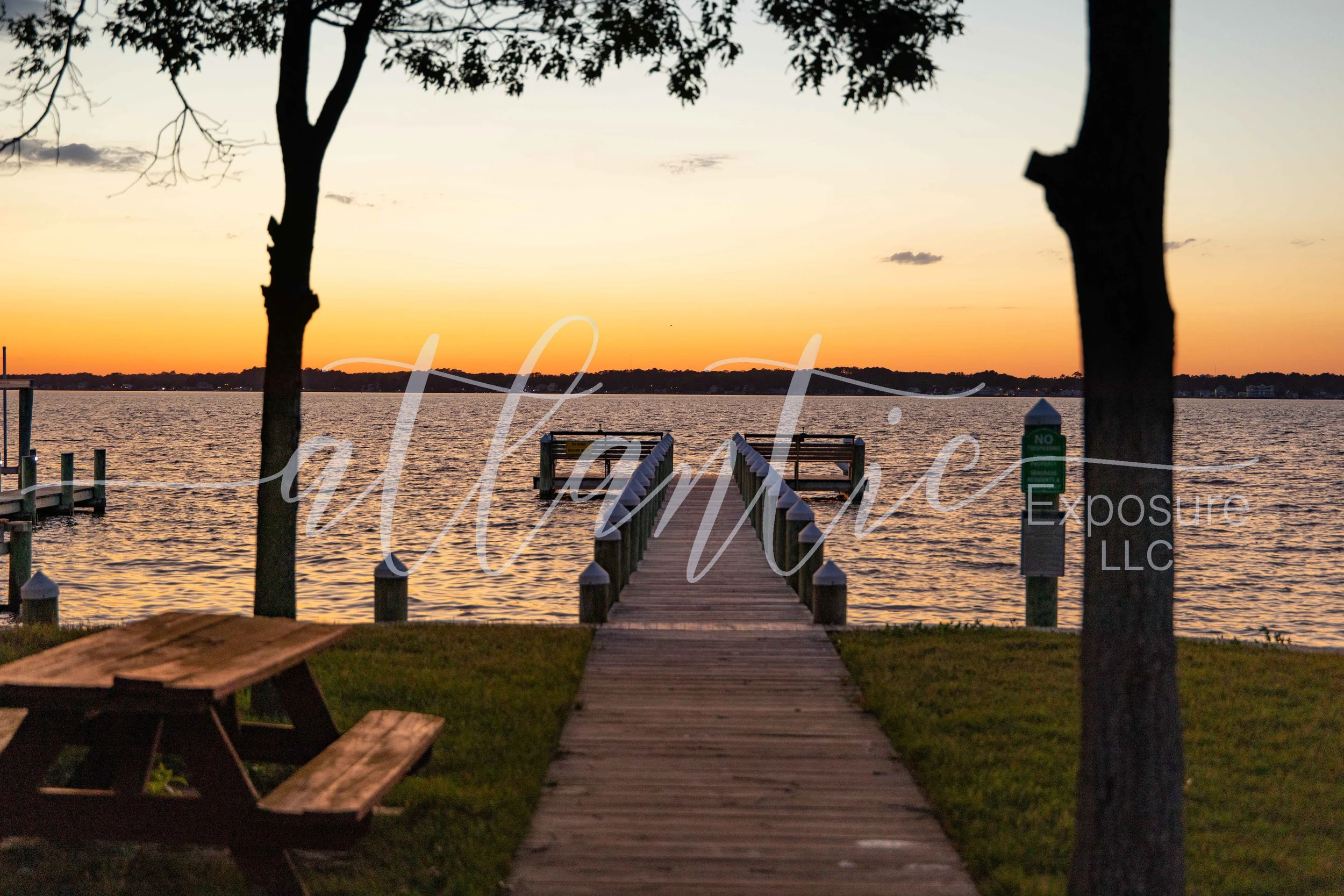 Seagrass Twilight 9