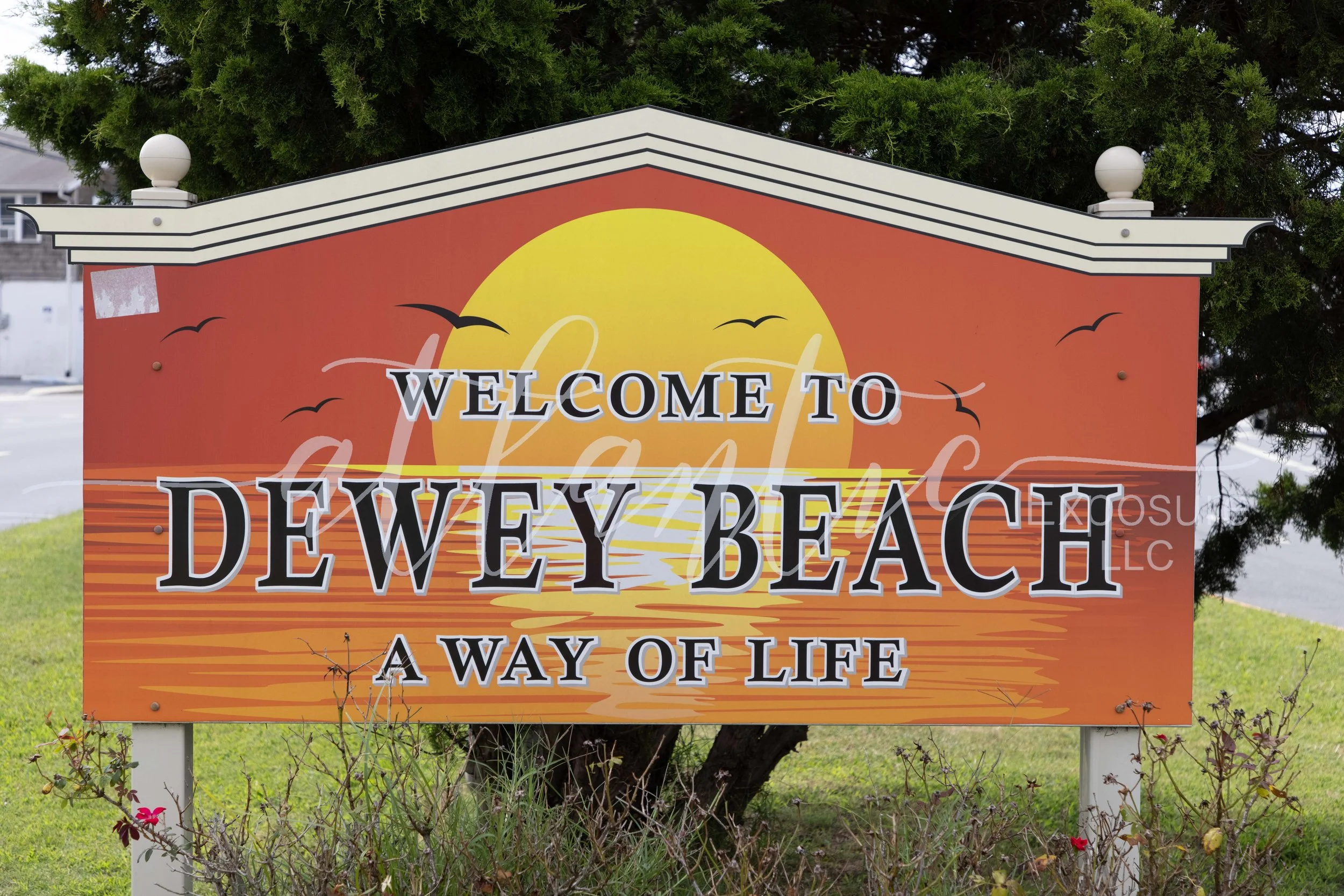logo dewey-4.jpg