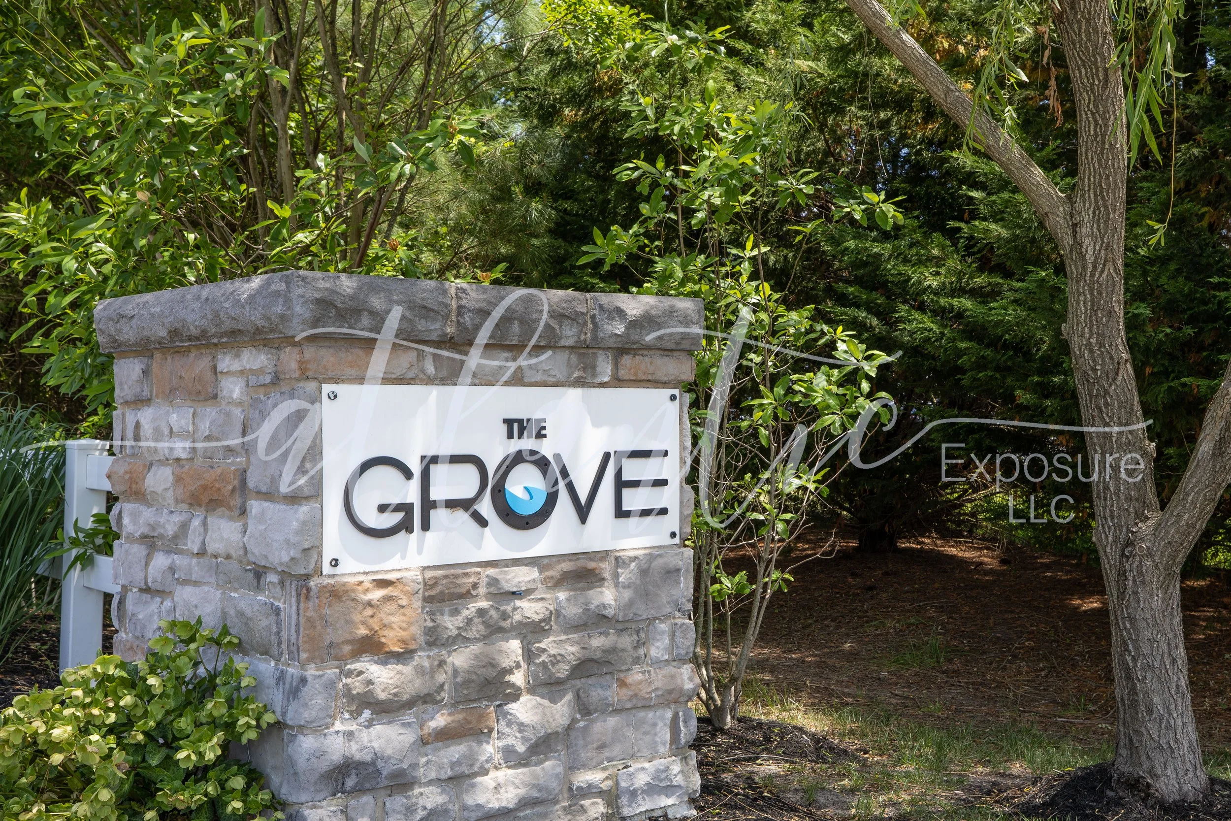 The Grove