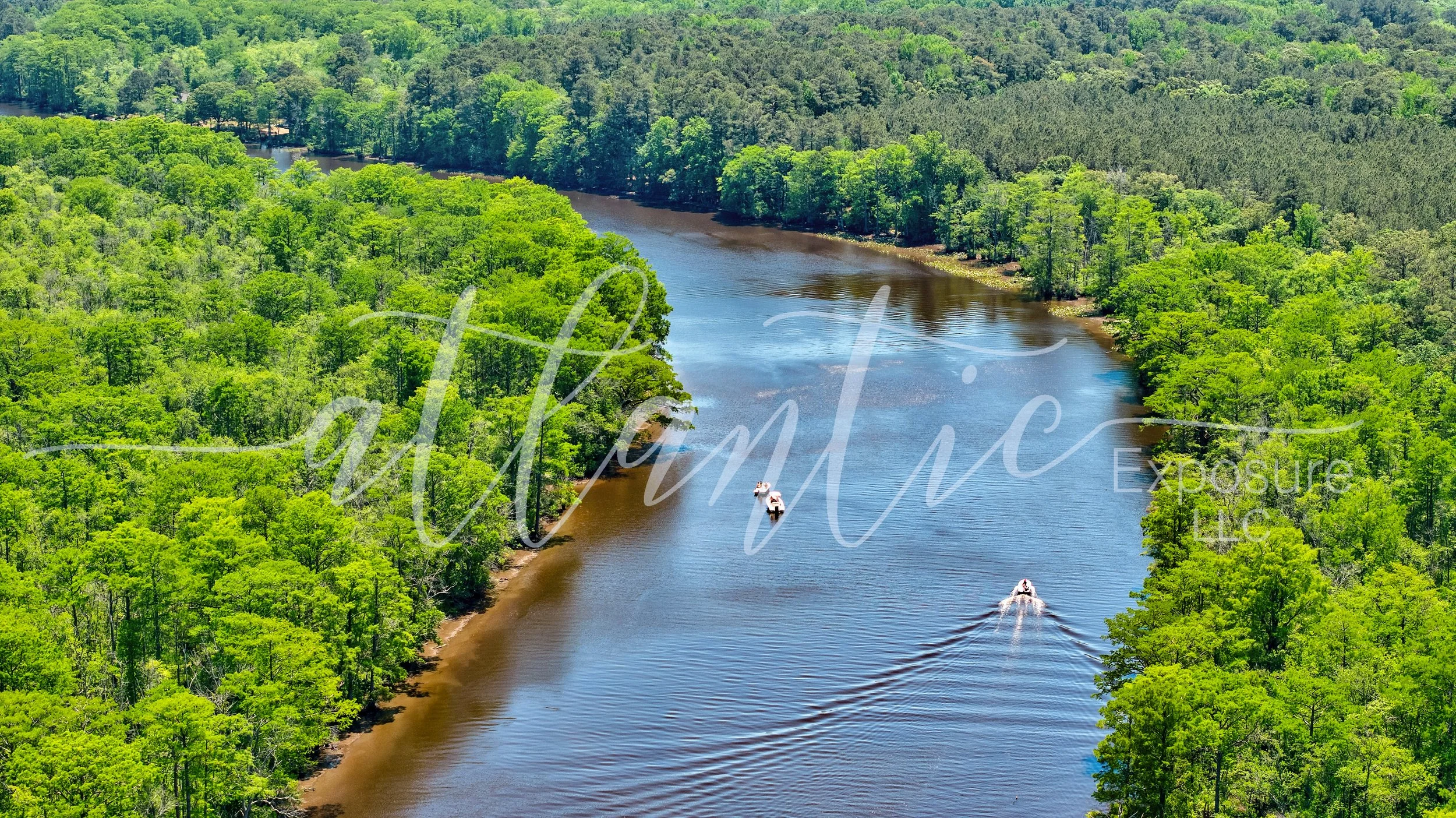 Pocomoke River 1