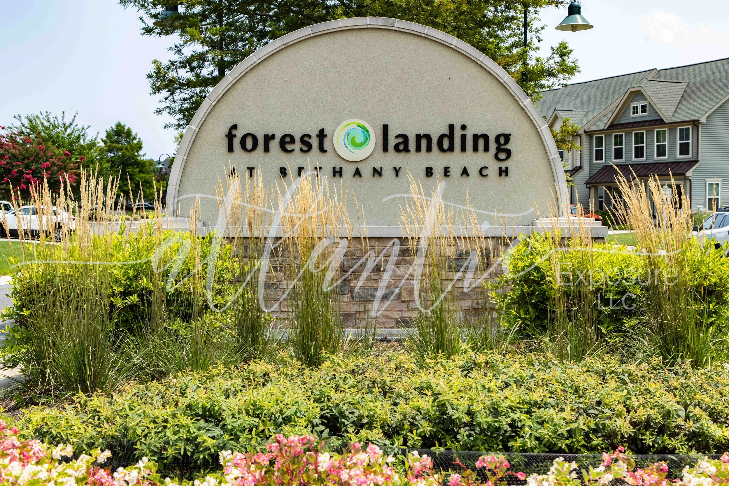 Forest Landing