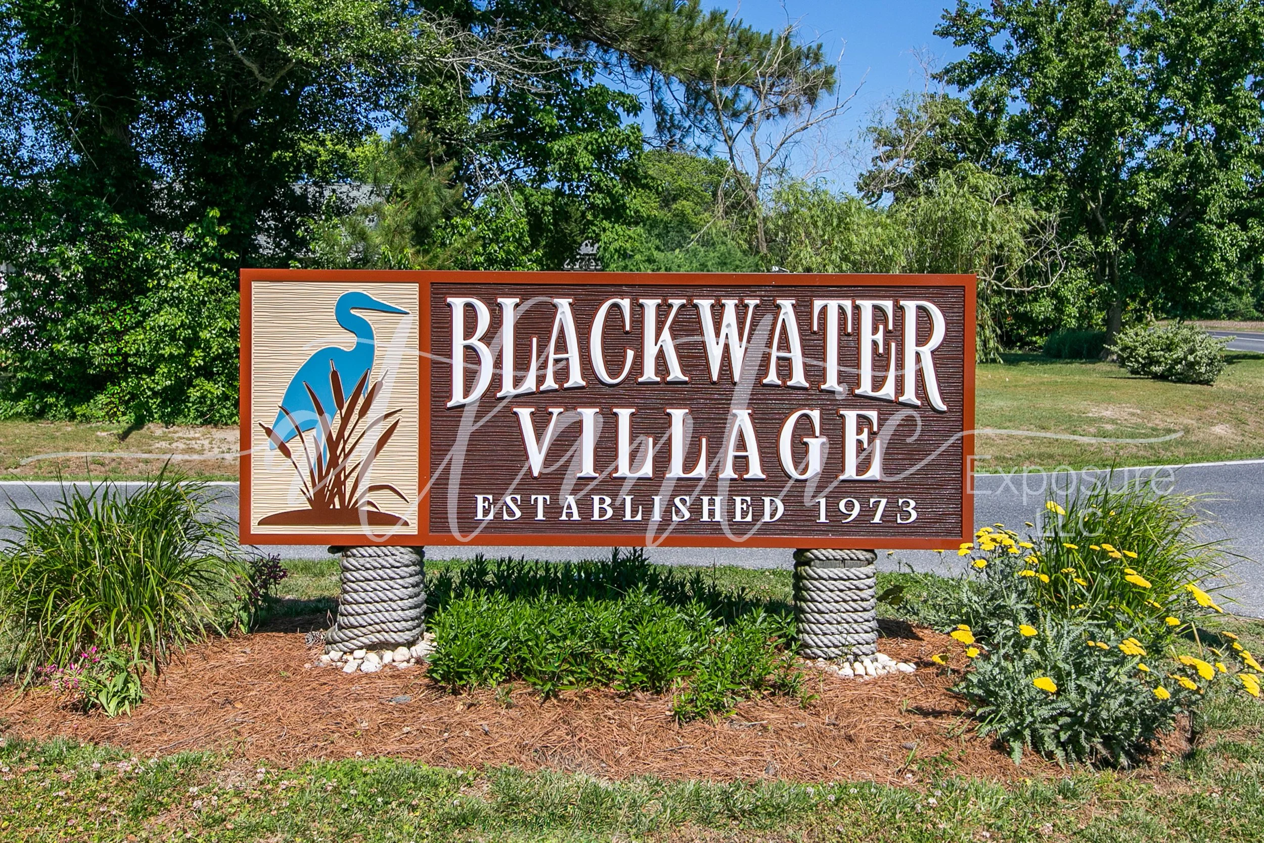 blackwater logo 2026-1.jpg