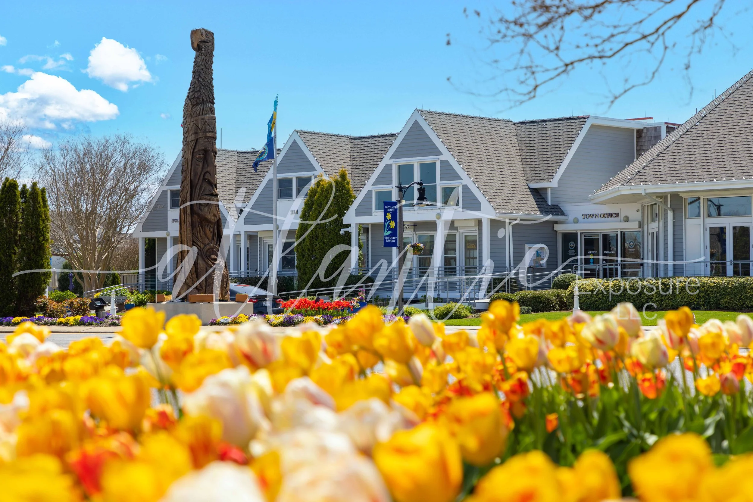 Bethany Totem Pole tulips