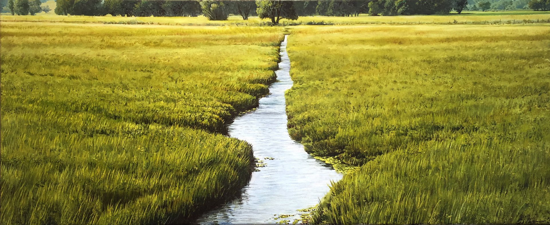   Watercrest II  egg tempera on panel 13"x30"&nbsp; 2014 