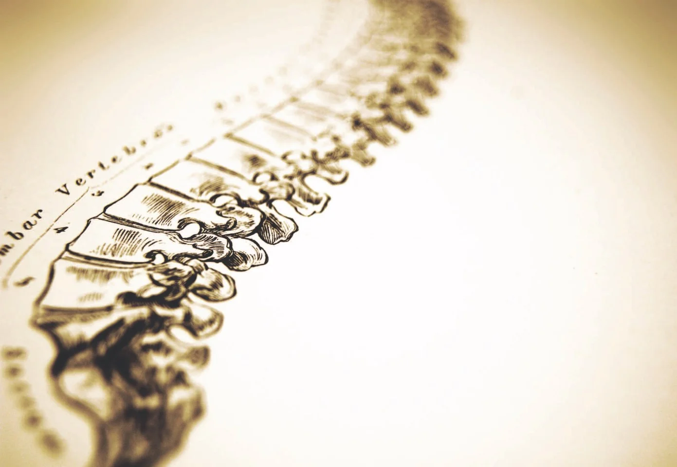 Why Should I See a Chiropractor?