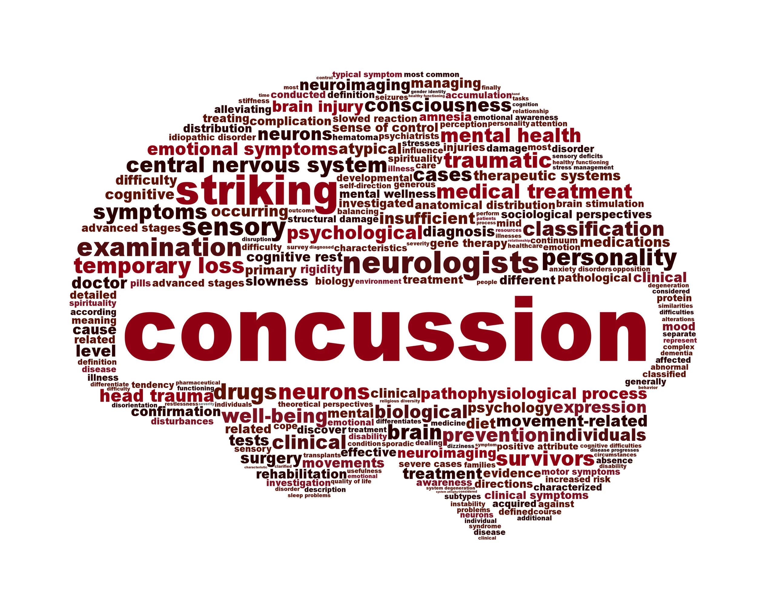 The Body Series - Head - Concussion