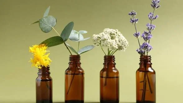 Essential Oils: What the Science Says, What Bodyworkers Should Know, and Where Metaphysics Fits