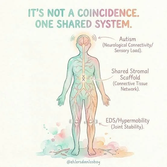 Autism, ADHD, POTS & Connective Tissue Disorders: Why These Conditions Can Overlap