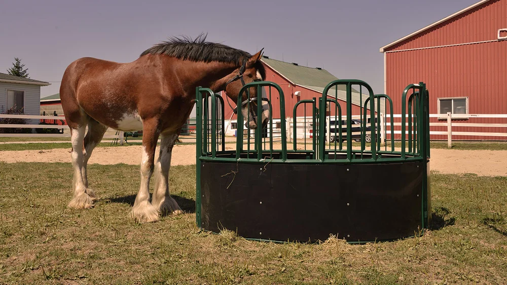 Feeders Diamond Bar Gates