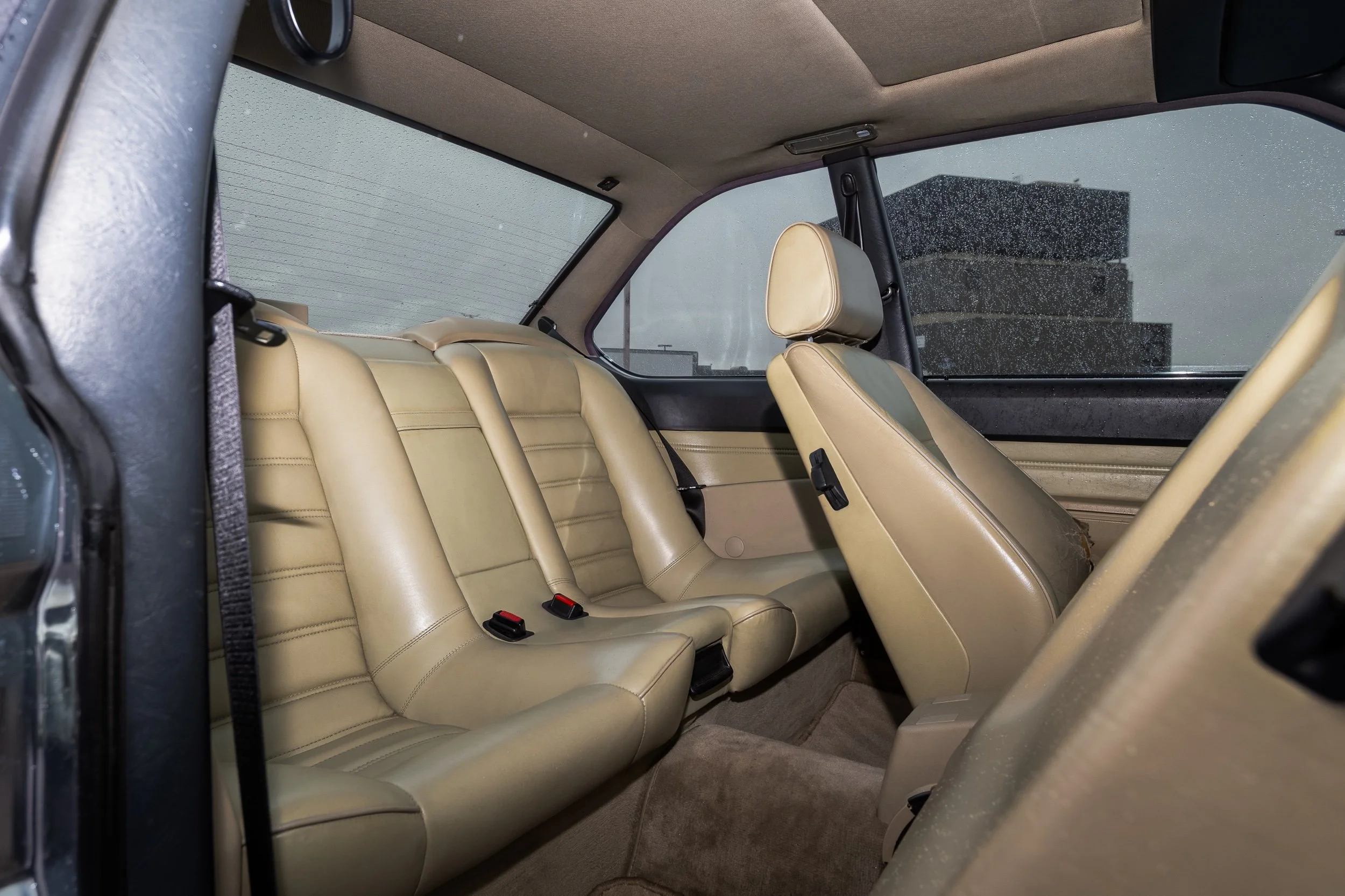 TLSS 11-26-25-62-Edit.jpeg