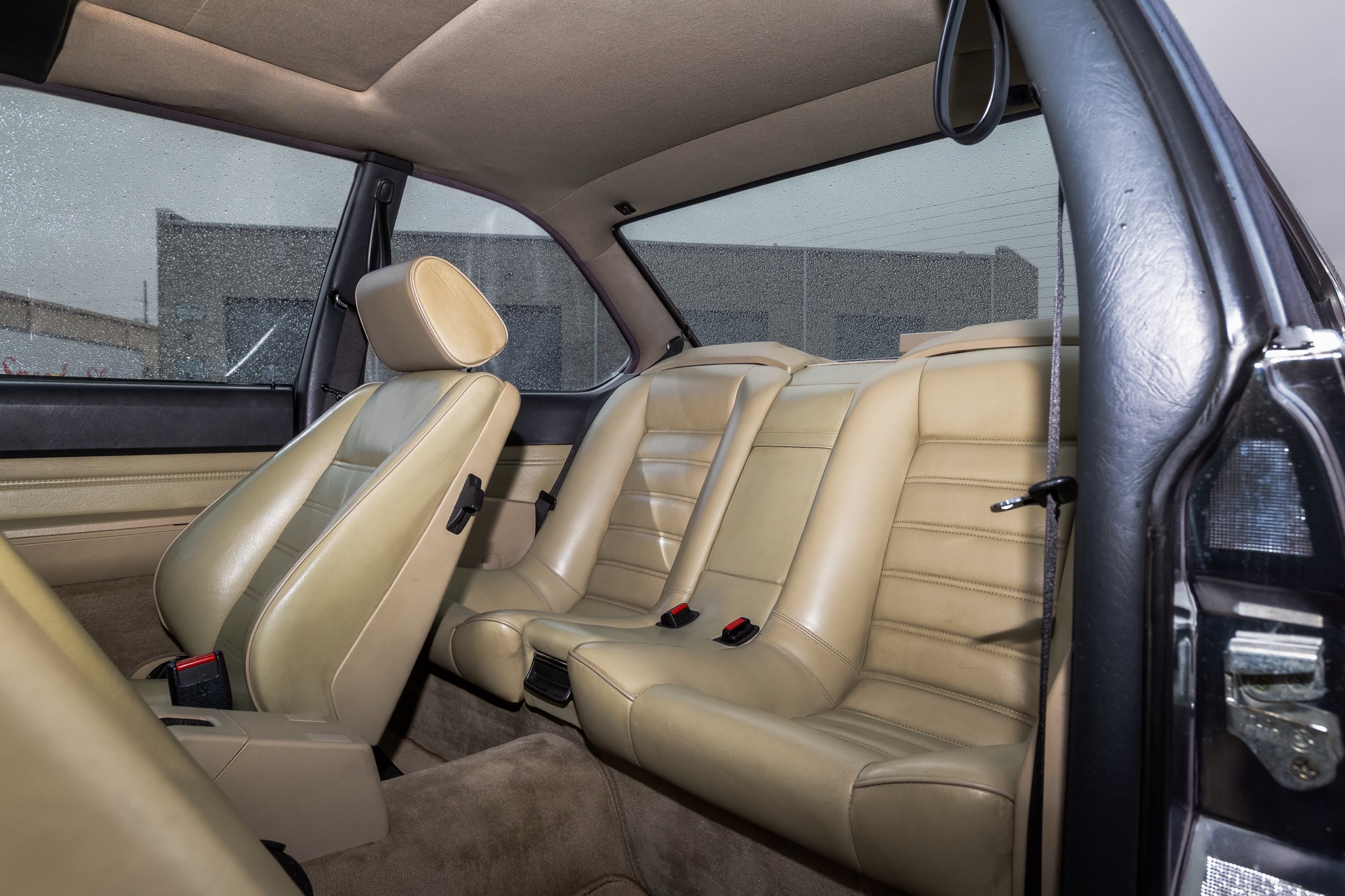 TLSS 11-26-25-60-Edit.jpeg