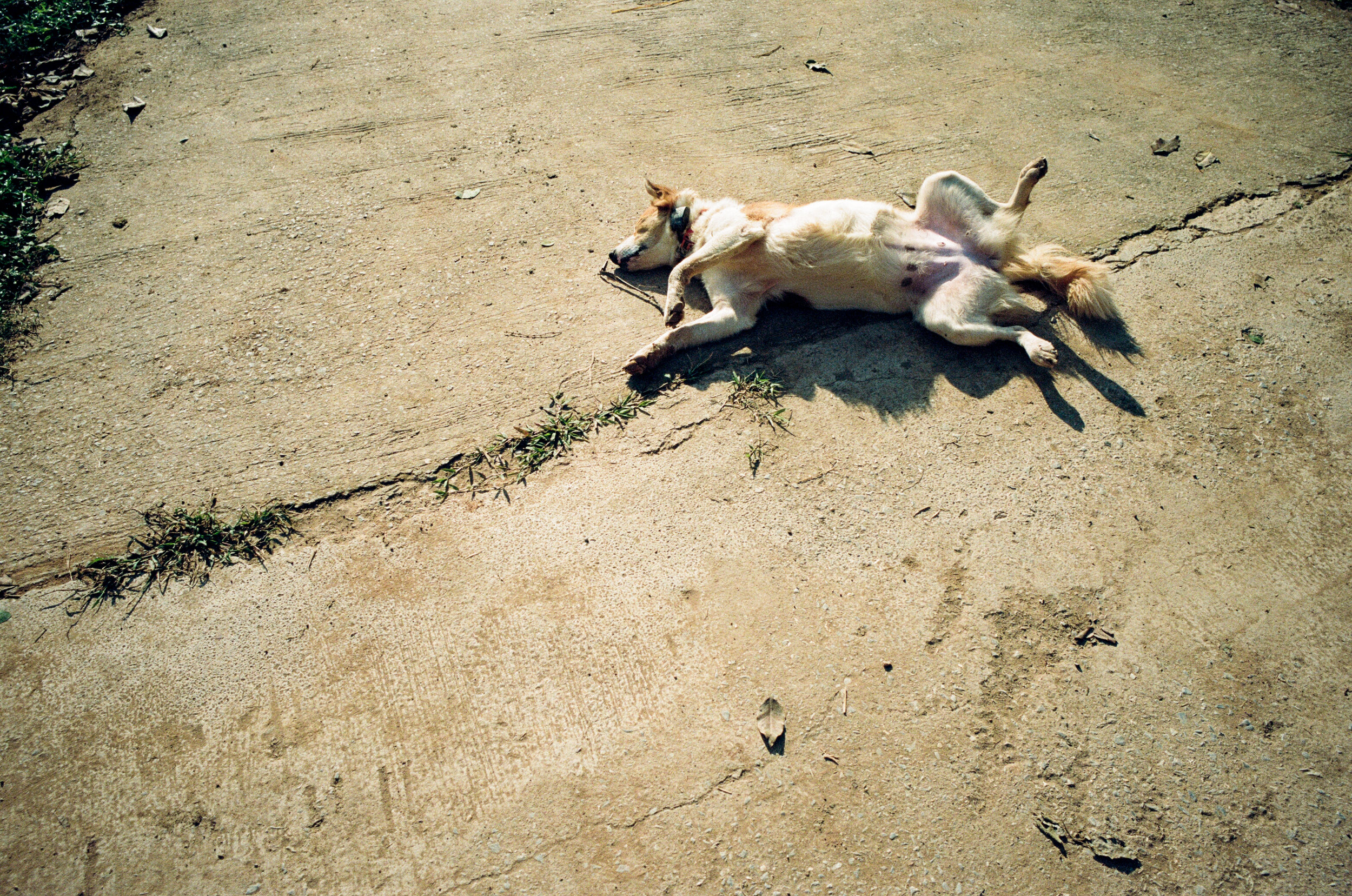 000025860010 copy.jpg