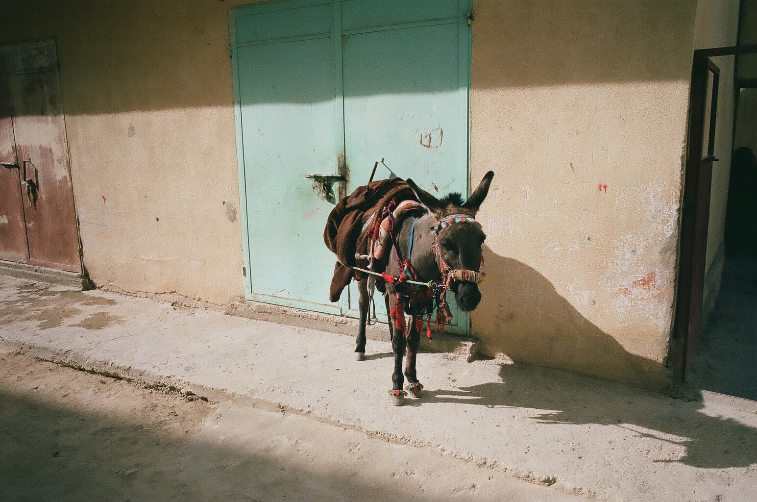 000088200027 copy.jpg