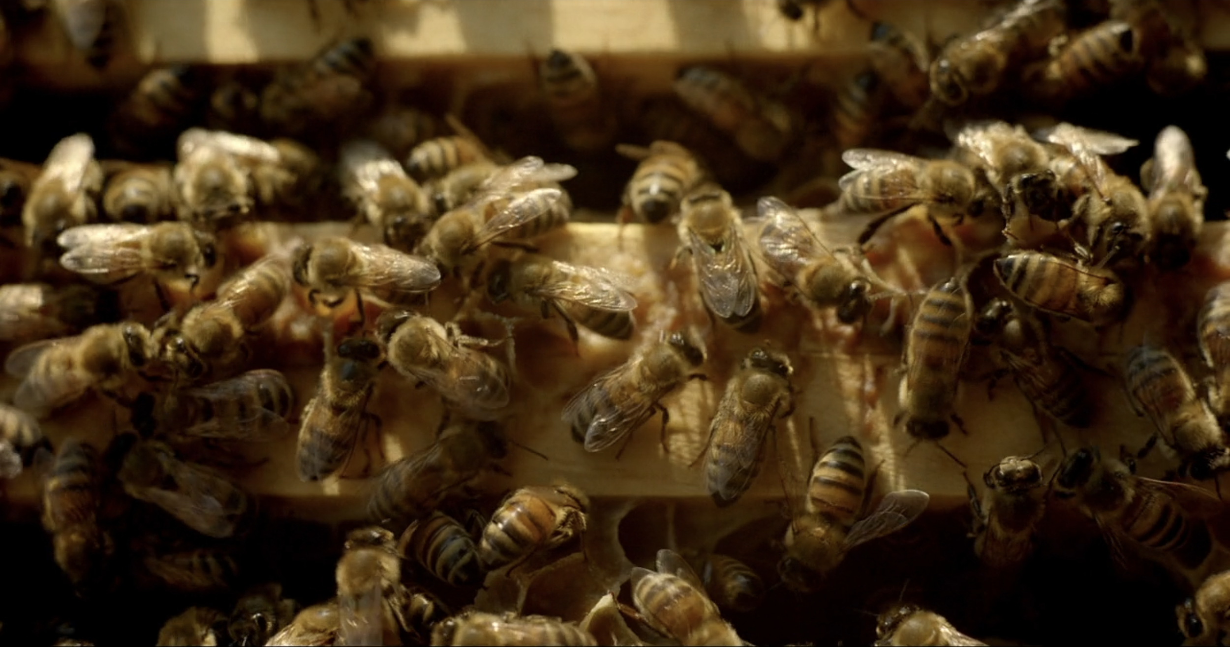 Screenshot 2025-12-28 at 1.23.14 PM.png