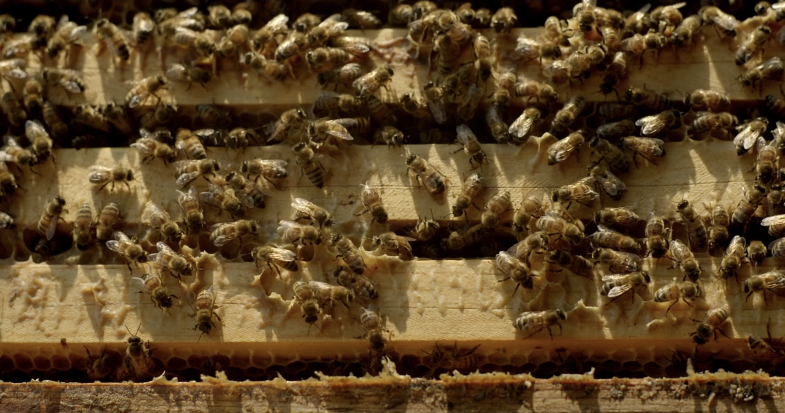 Screenshot 2025-12-28 at 1.22.40 PM.png