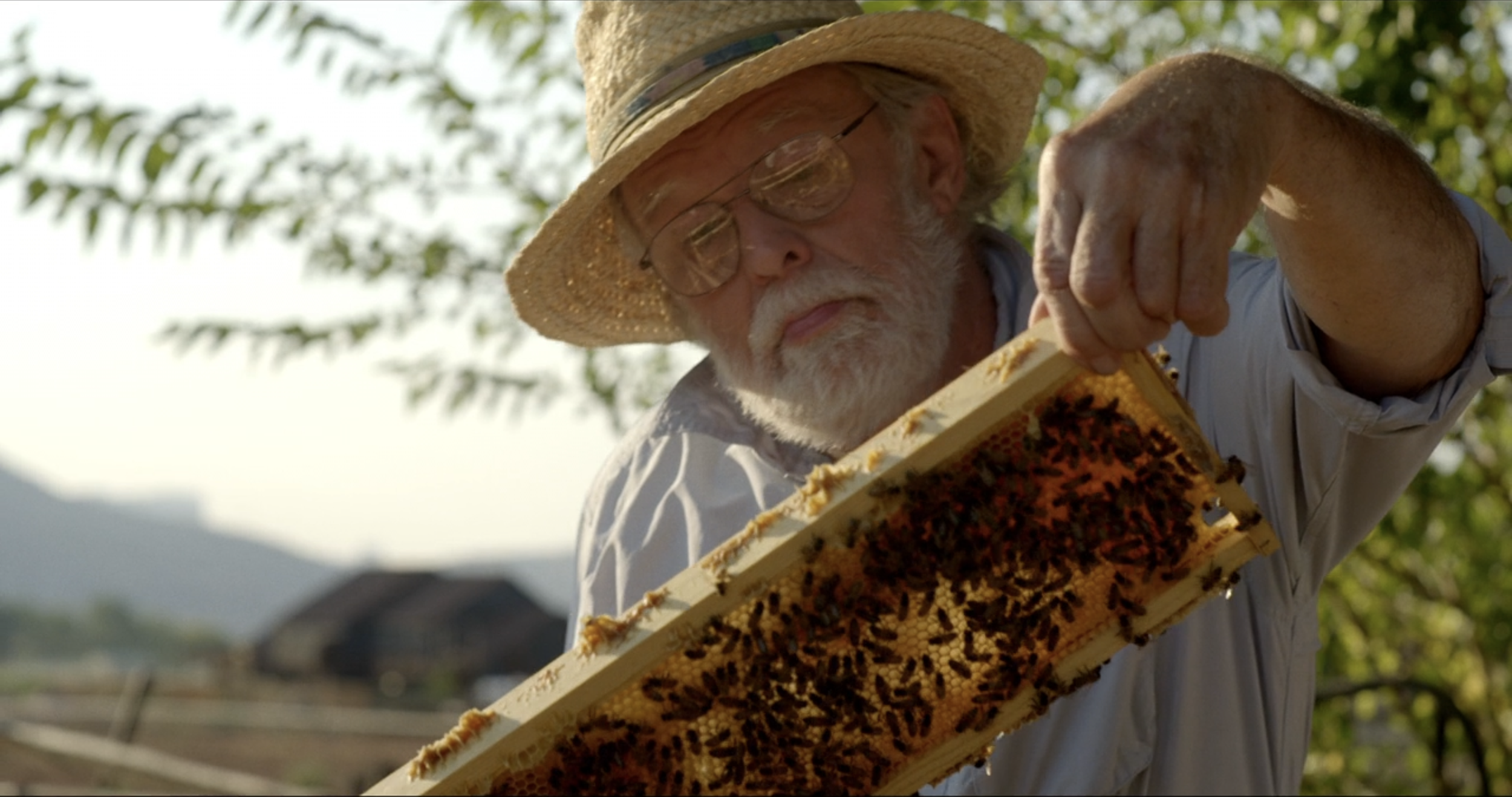 Screenshot 2025-12-28 at 1.24.30 PM.png