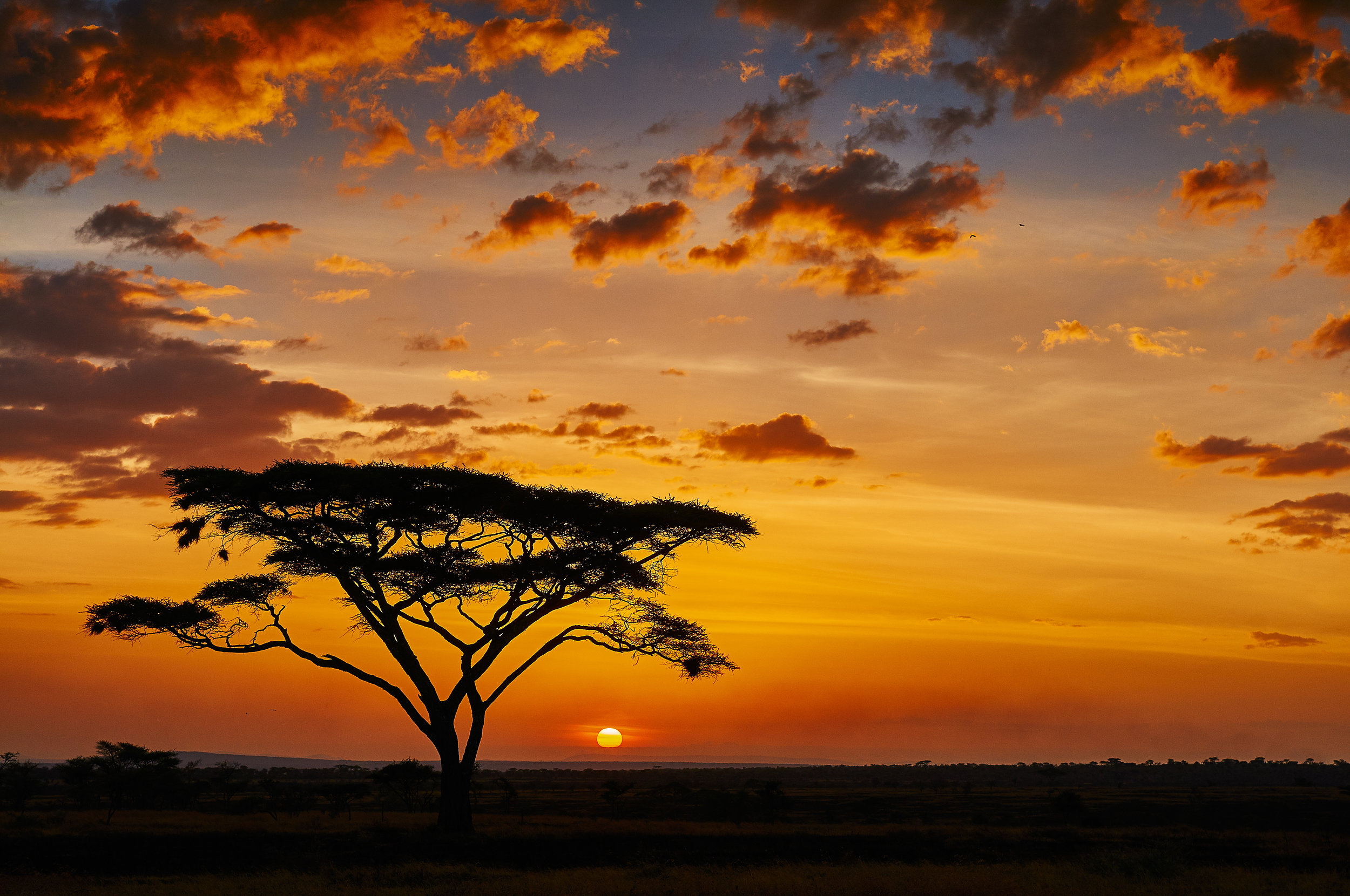 Africatourism.jpeg