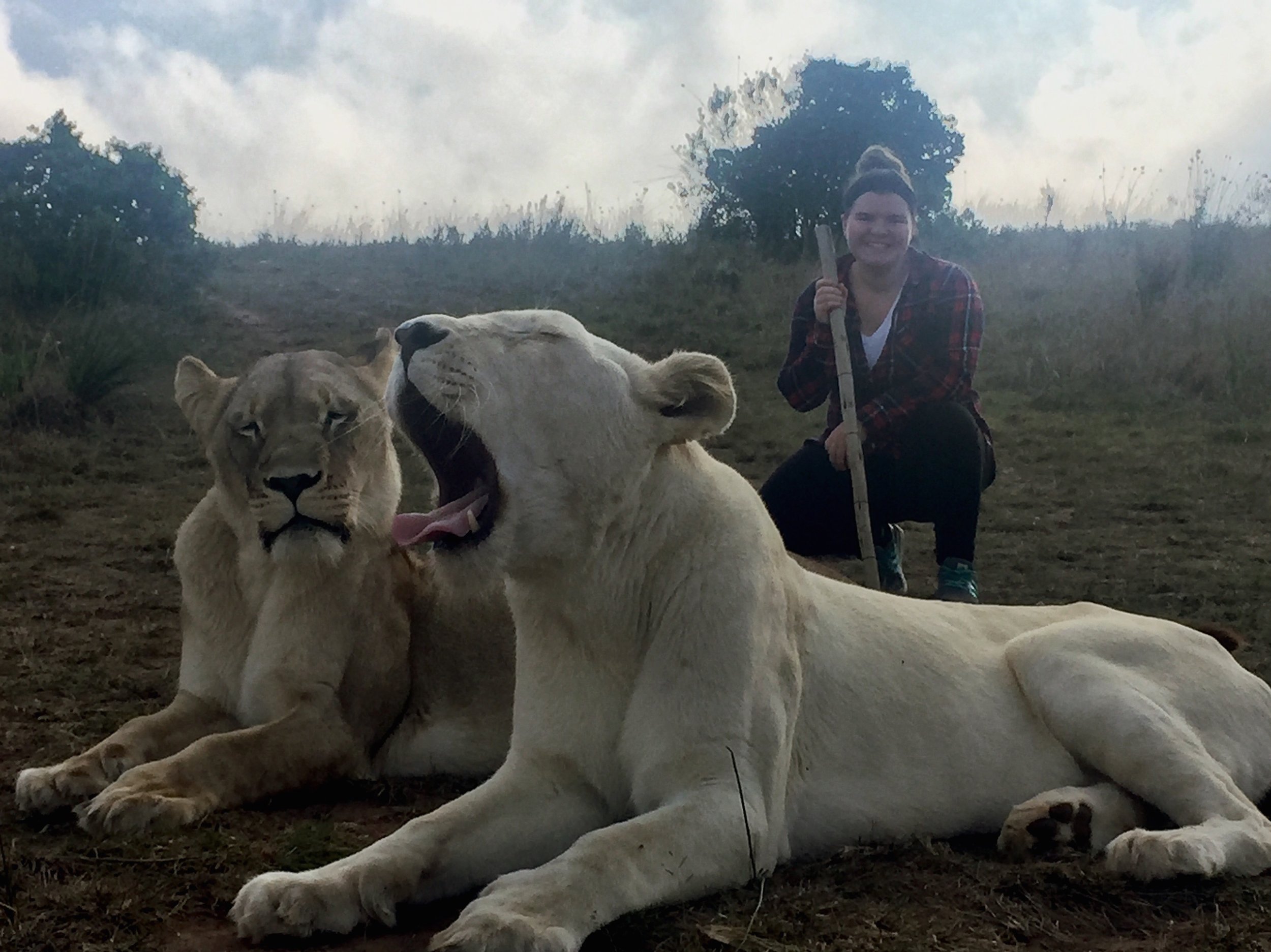 photo with lions.jpg