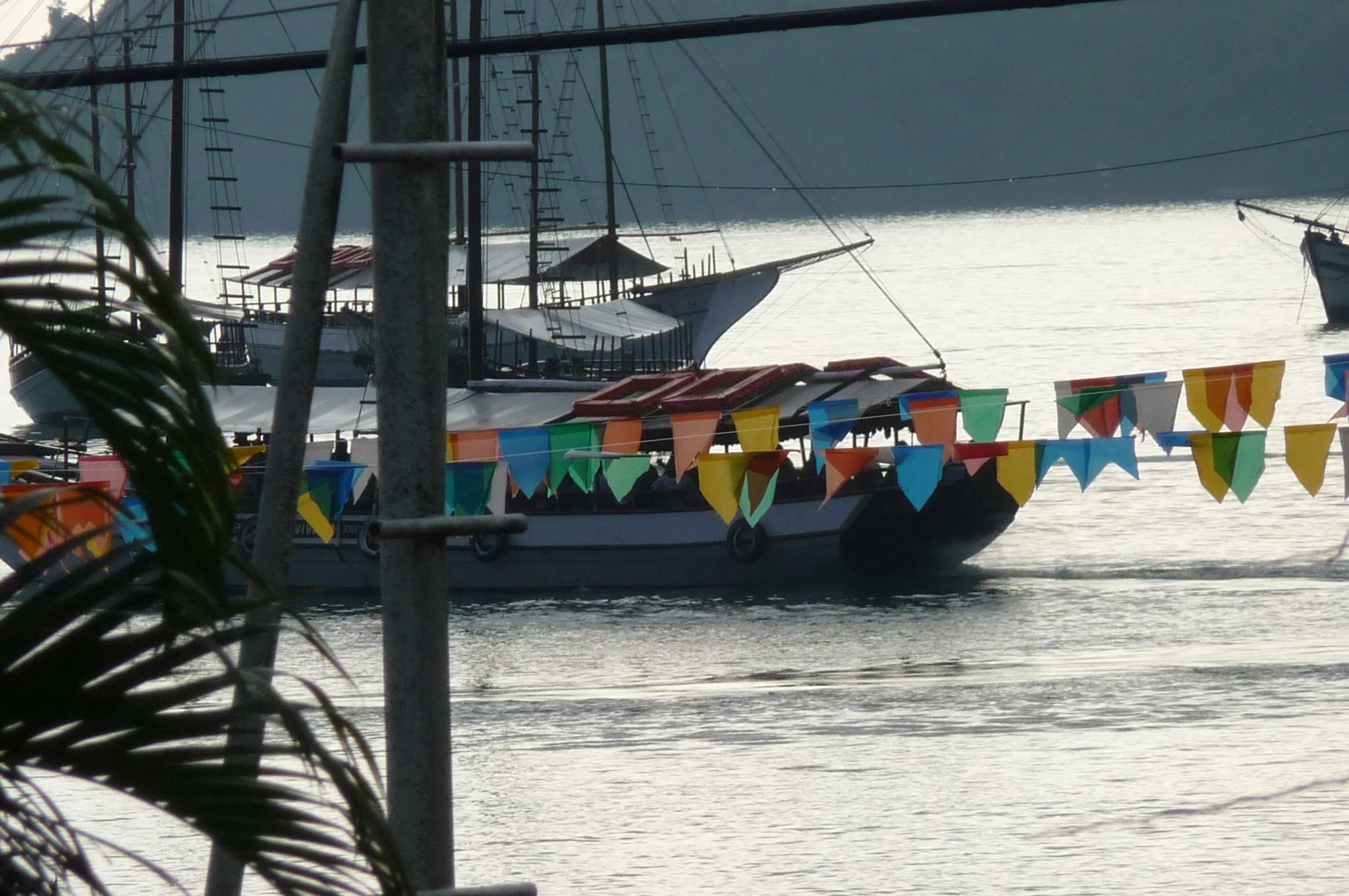 photo-1.jpg
