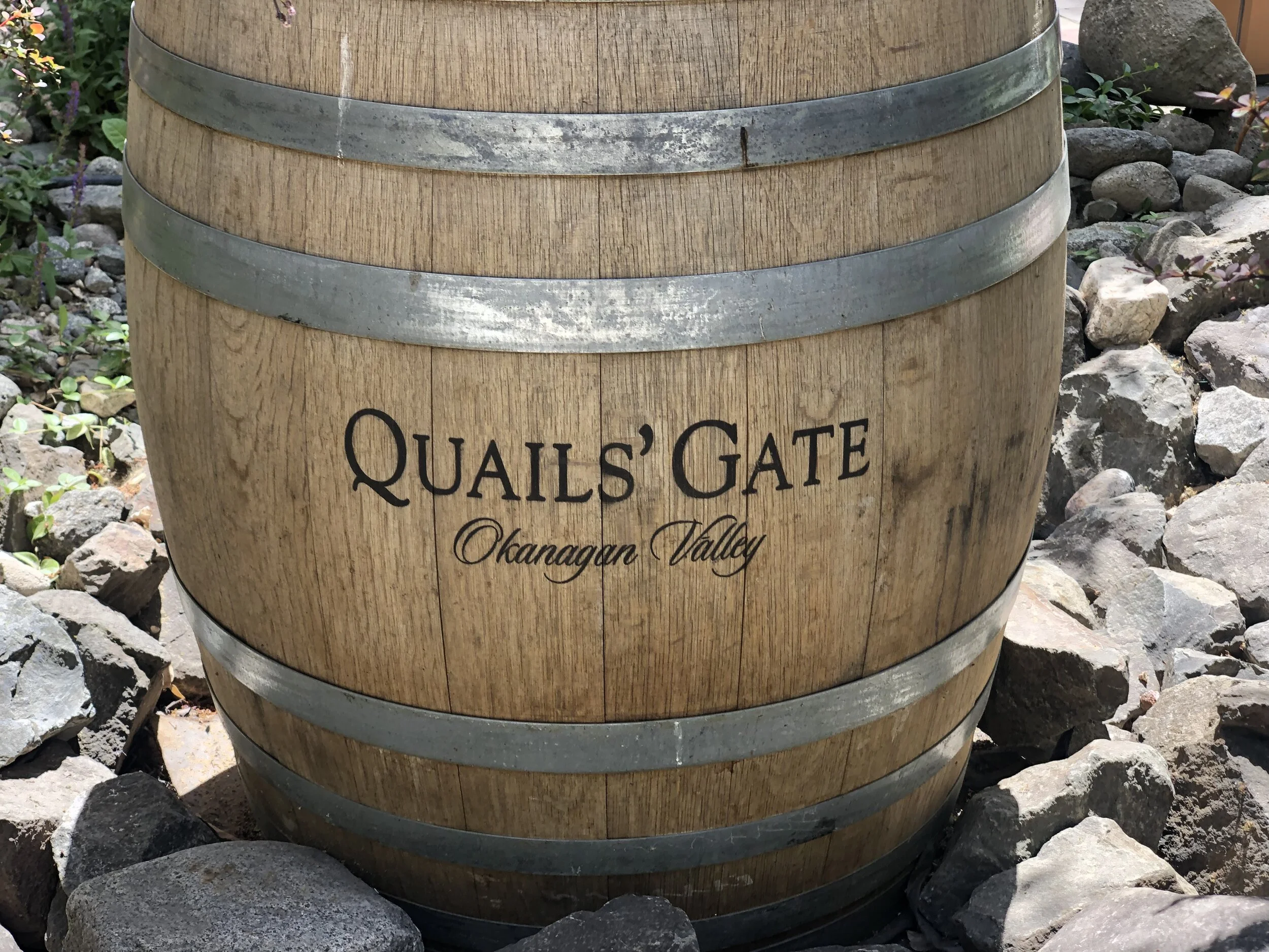 Kelownawine6.jpeg