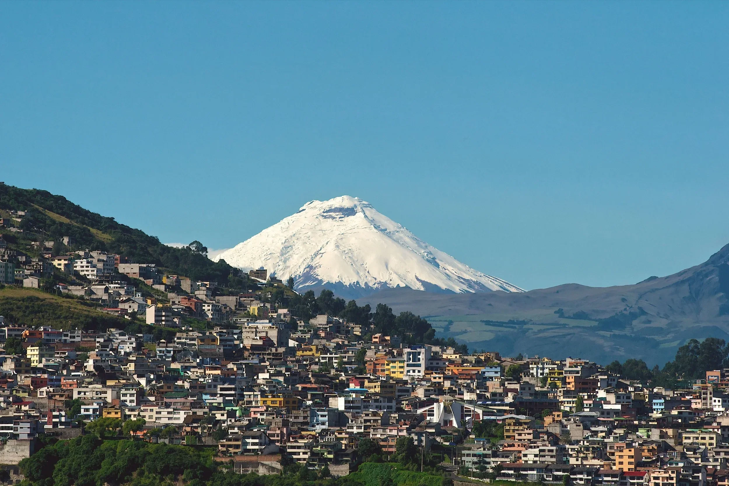 A cityscape with numerous colorful houses on a hillside in front of snowy Mount Taranaki under a clear blue sky.