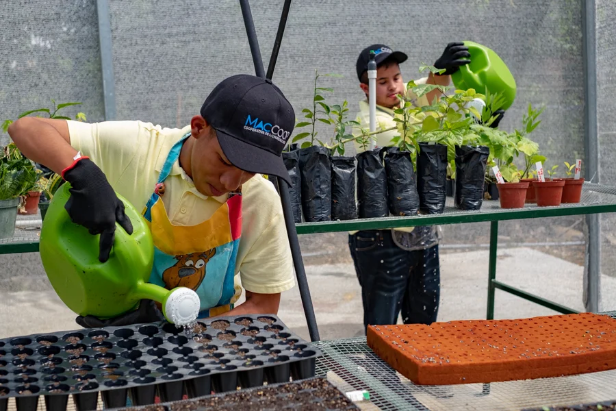 A new greenhouse project for children with special needs.