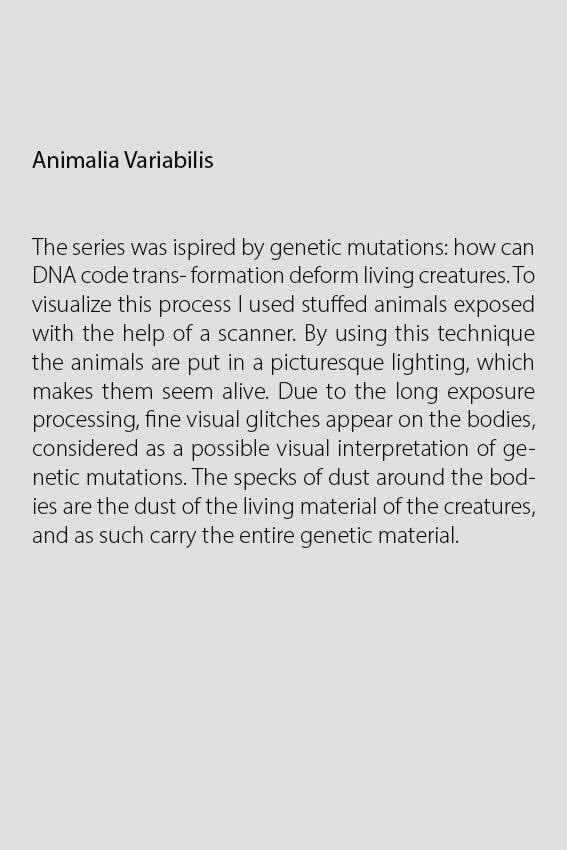 AnimaliaVariabilis-leiras-web.jpg