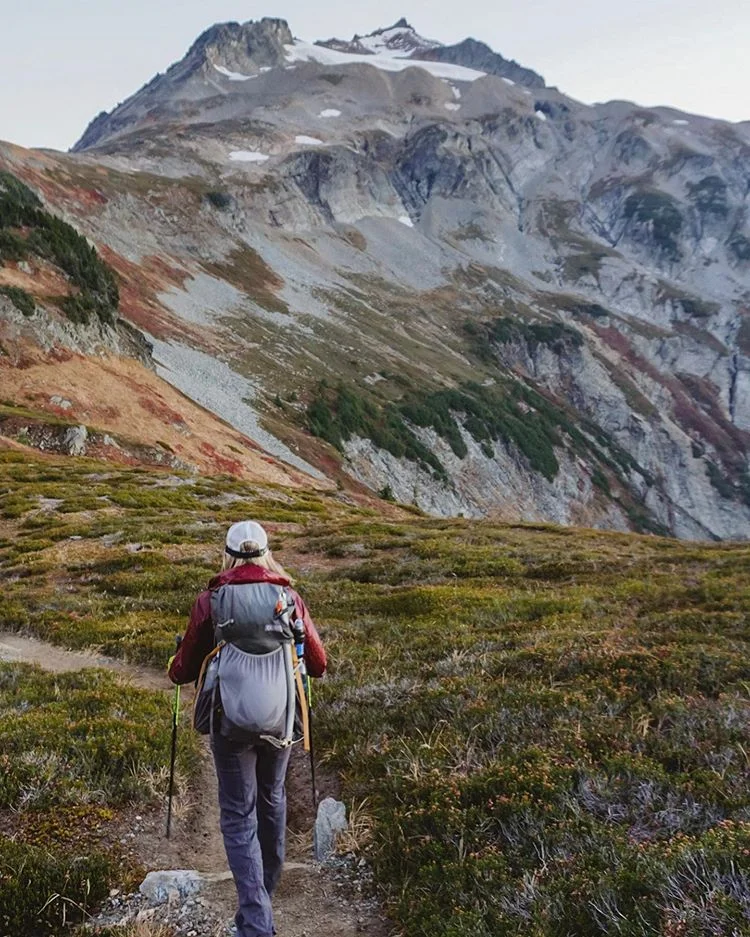 gossamer gear silverback