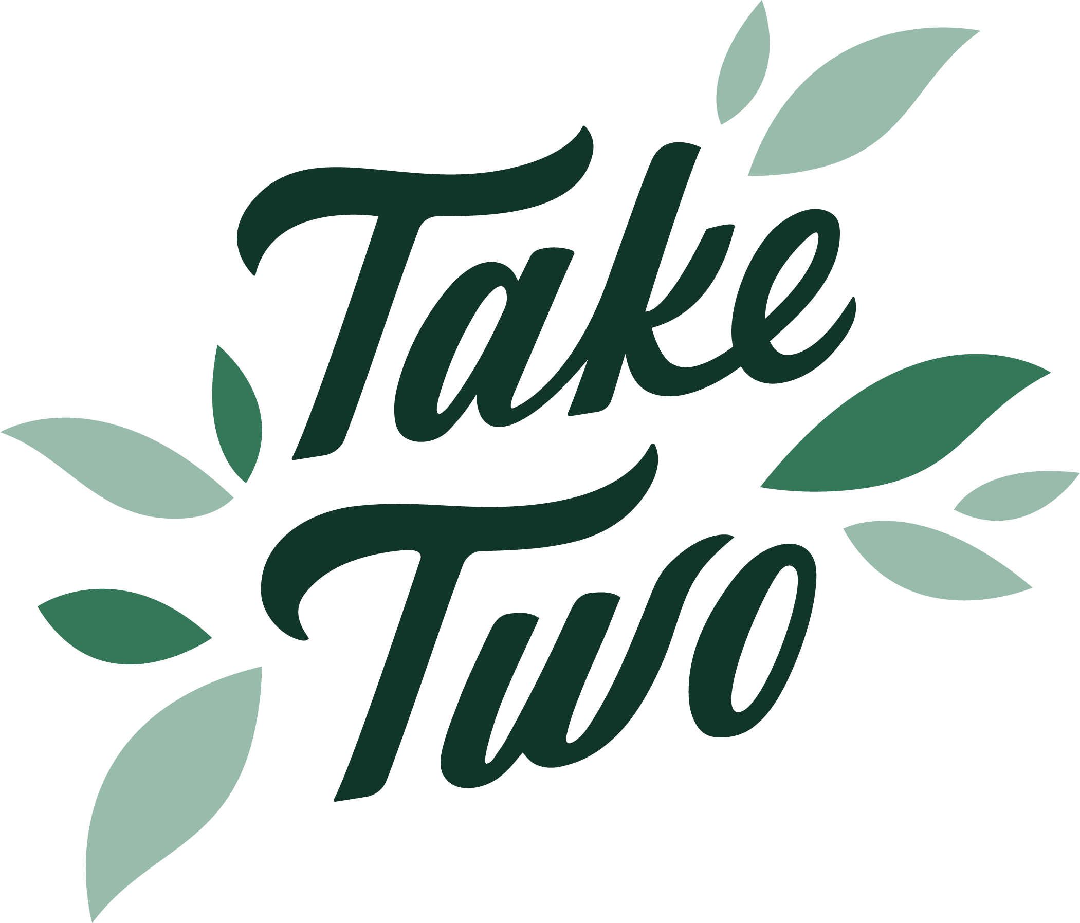 TakeTwo-primary-twocolor-green-w - Valentino Salza.png