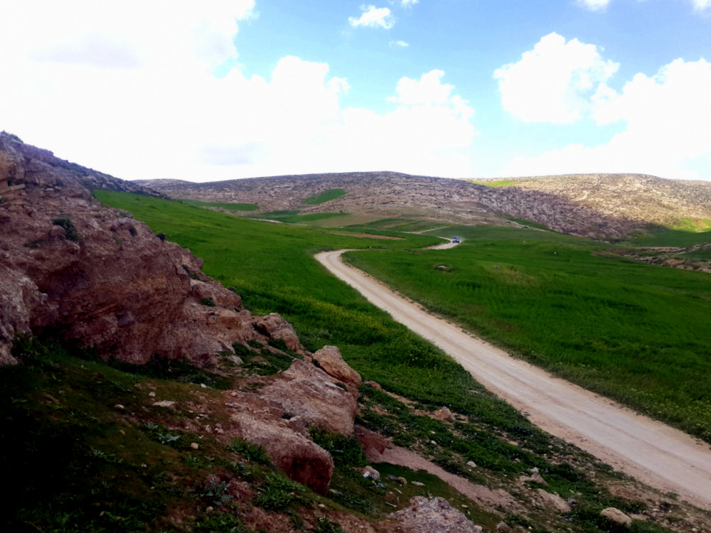 B’Tselem, image 2, Dirt Road.jpg