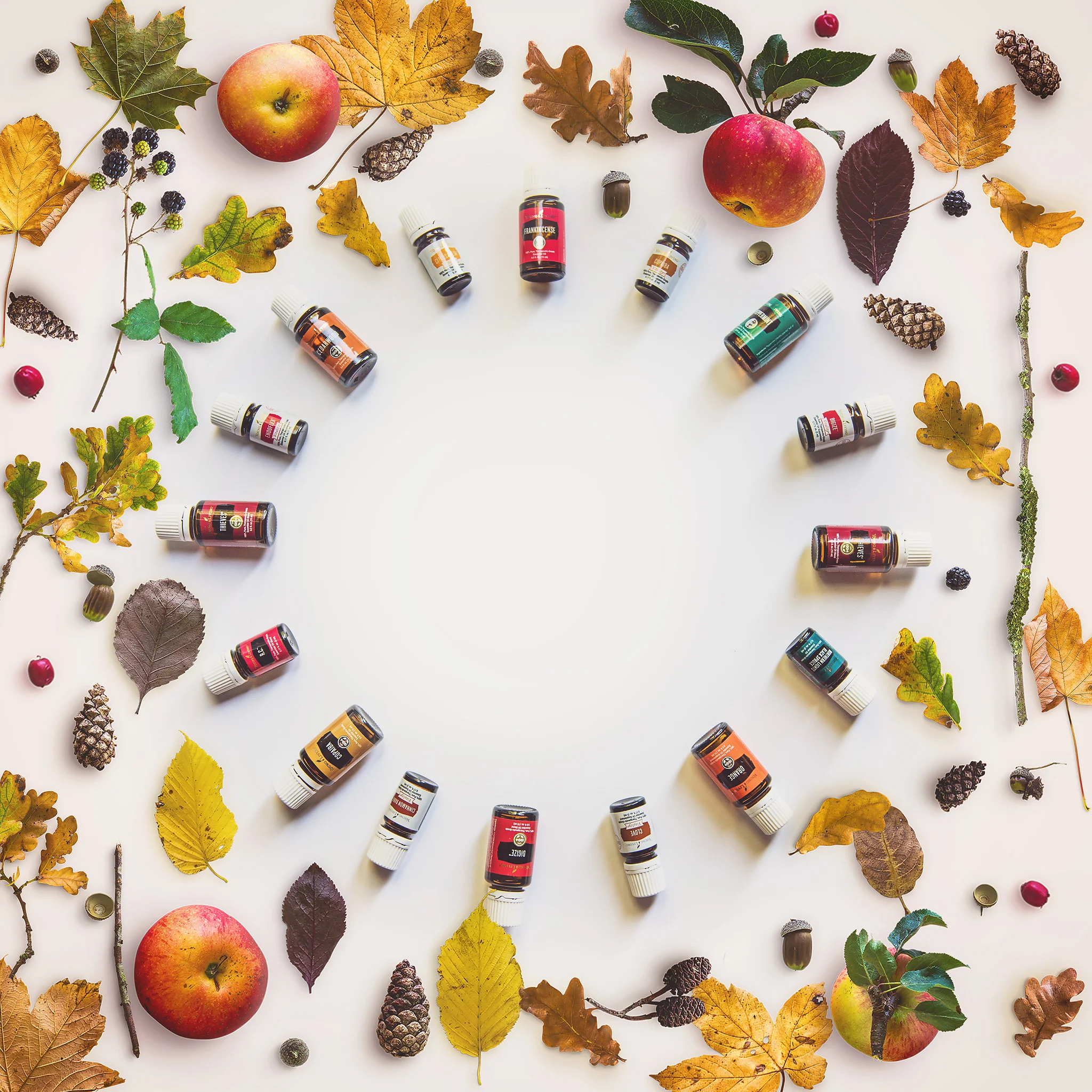 Fads, Snake Oils, and Cigarette Smoke - Autumn PSA