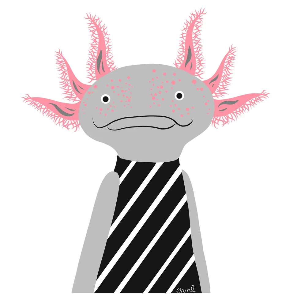 Axolotl (Real and Endangered Series, 2018)
