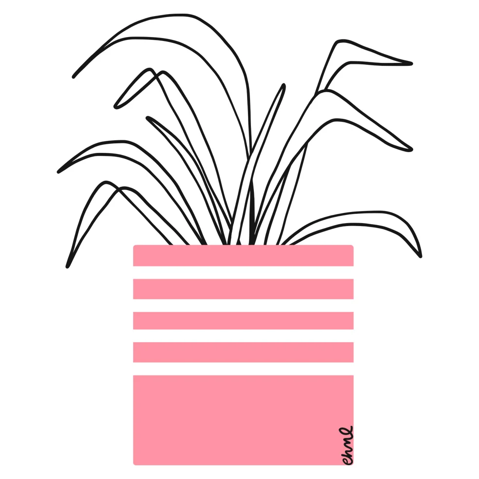 Spider Plant (2017)