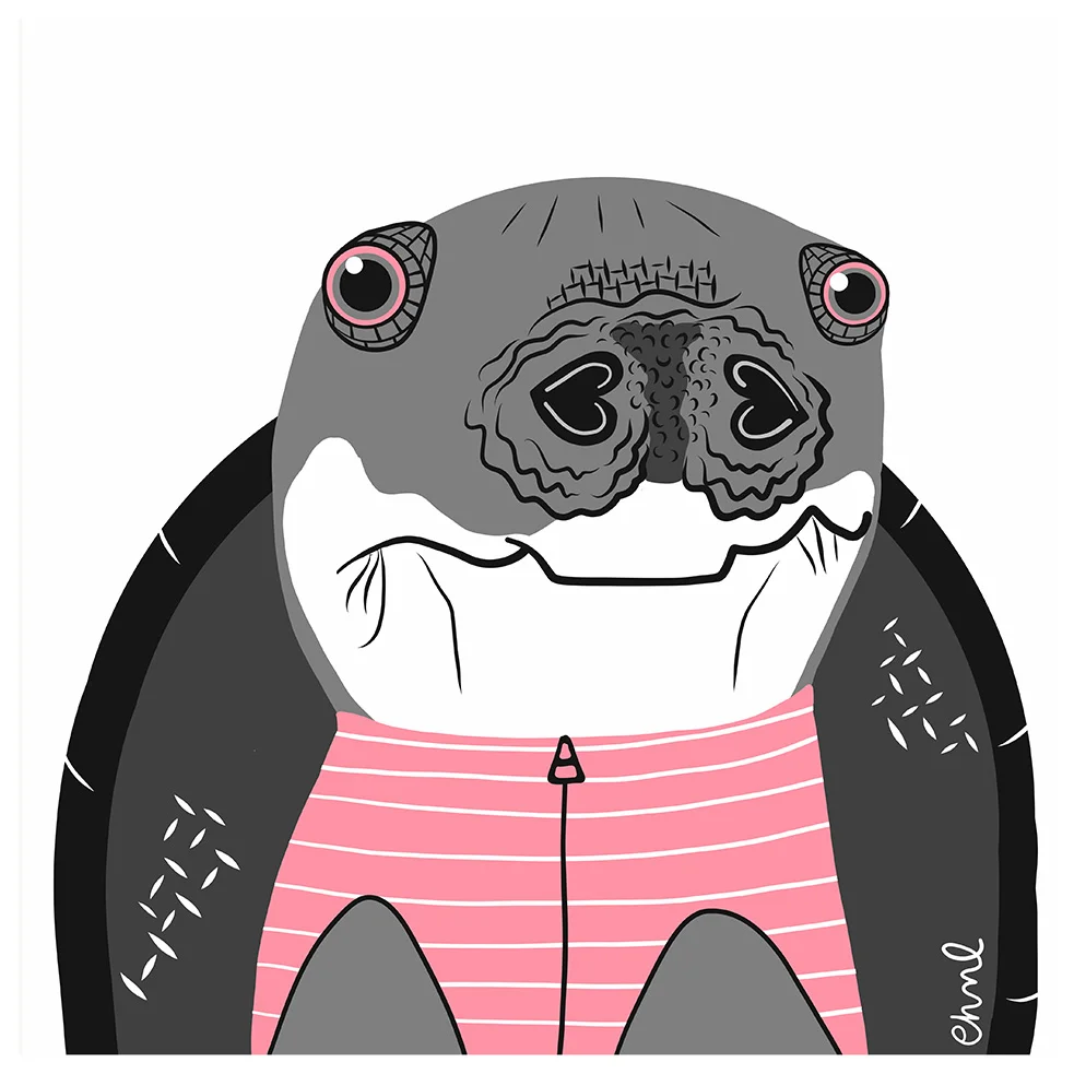 Pig-nosed Turtle (Real and Endangered Series, 2018)